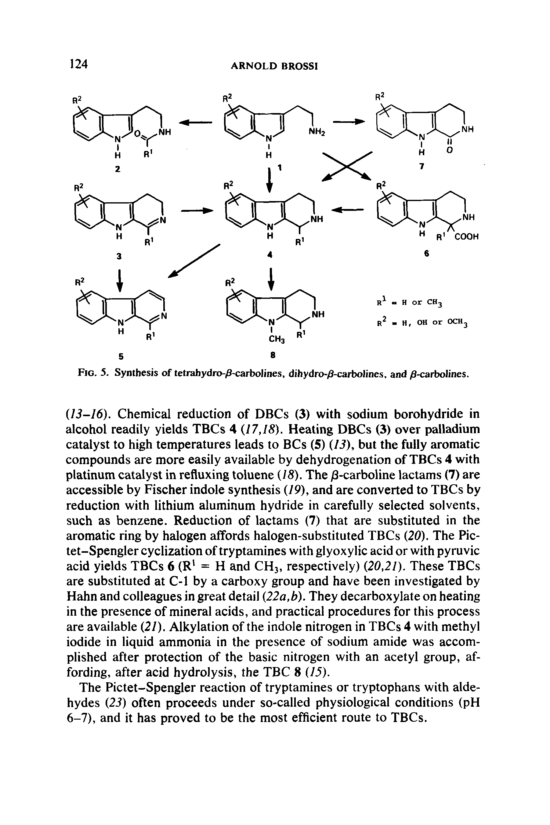 Fig. 5. Synthesis of tetrahydro-zS-carbolines. dihydro-/3-carbolines. and /3-carbolines.
