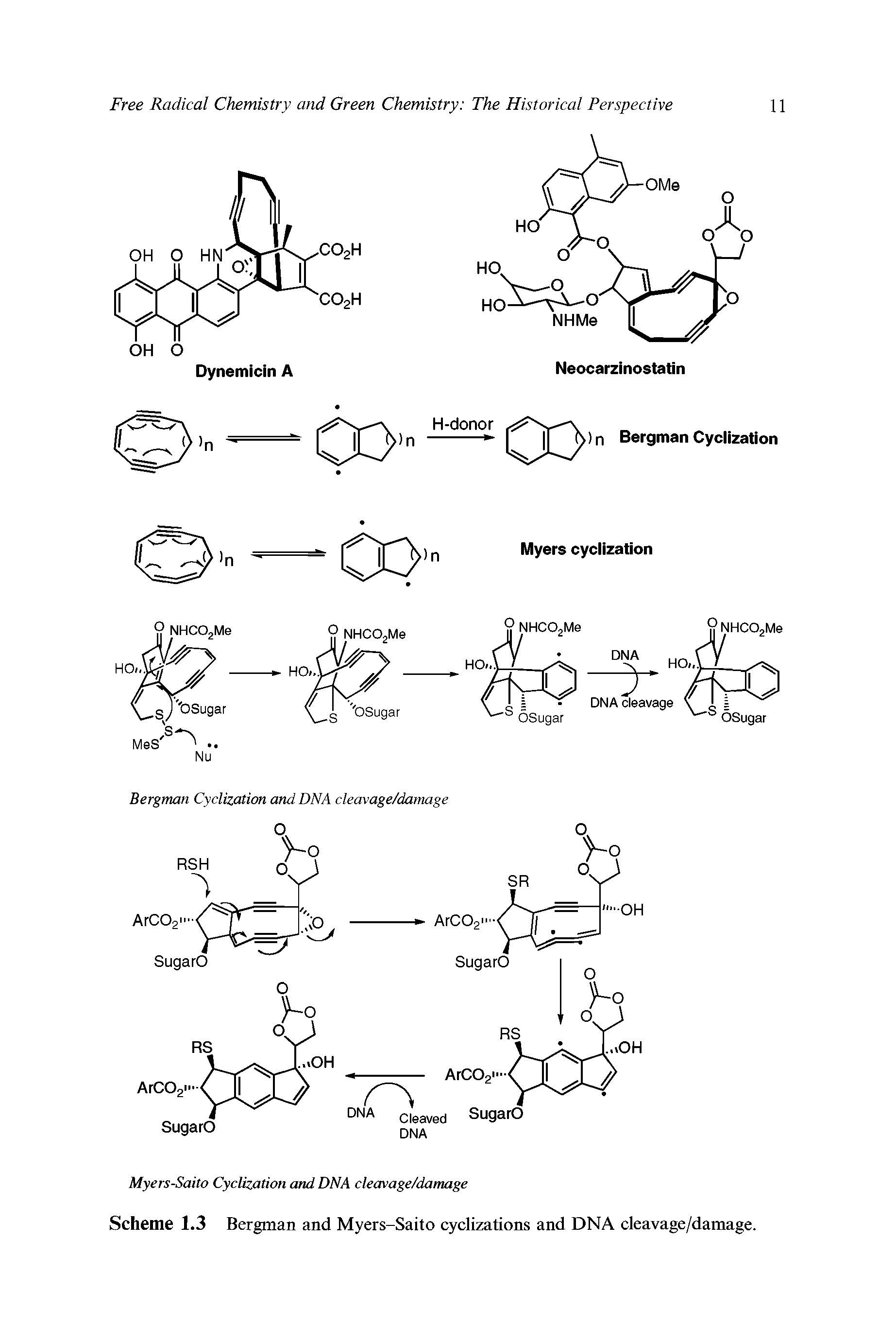 Scheme 1.3 Bergman and Myers-Saito cyclizations and DNA cleavage/damage.
