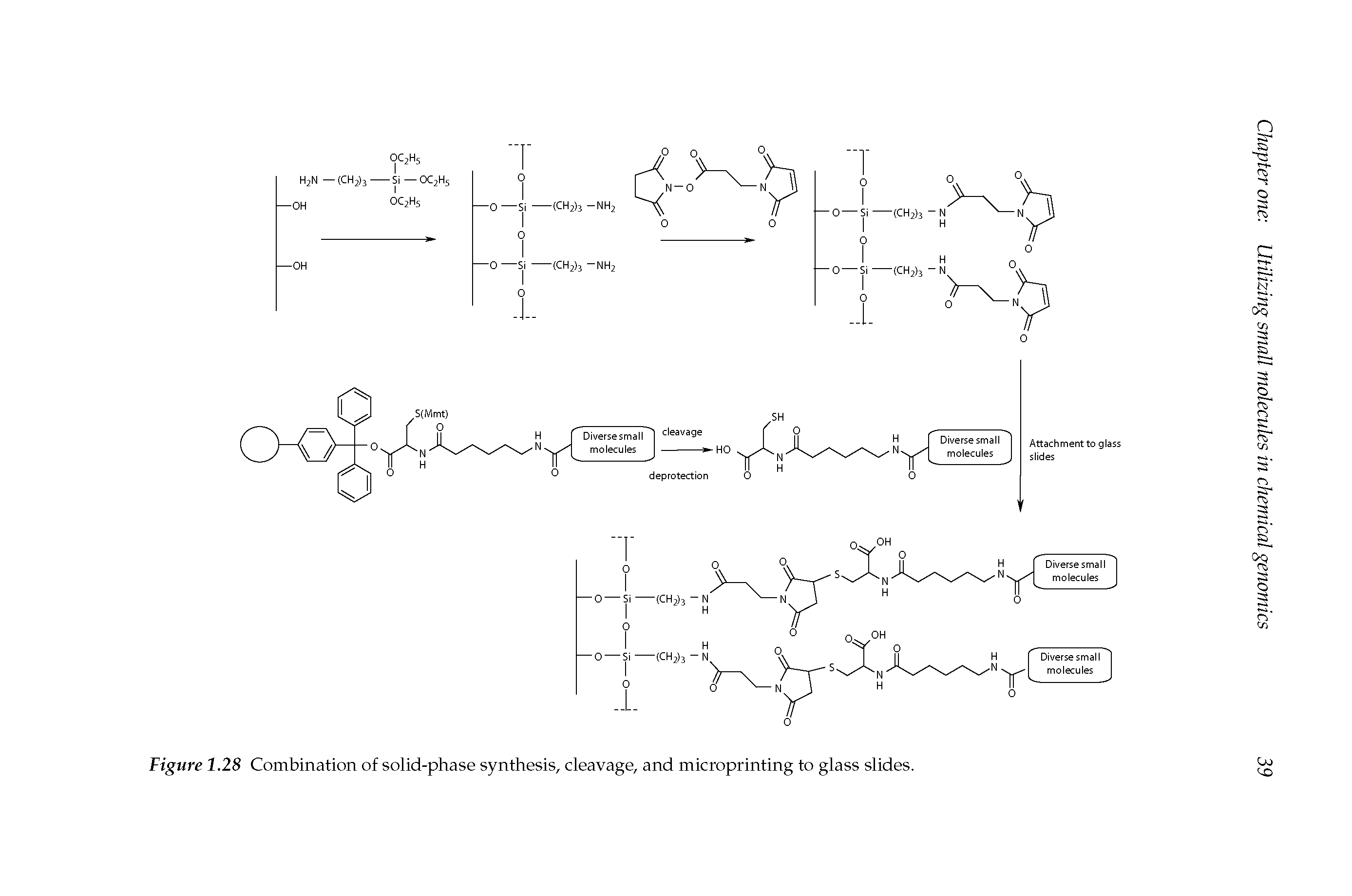 Figure 1.28 Combination of solid-phase synthesis, cleavage, and microprinting to glass slides.