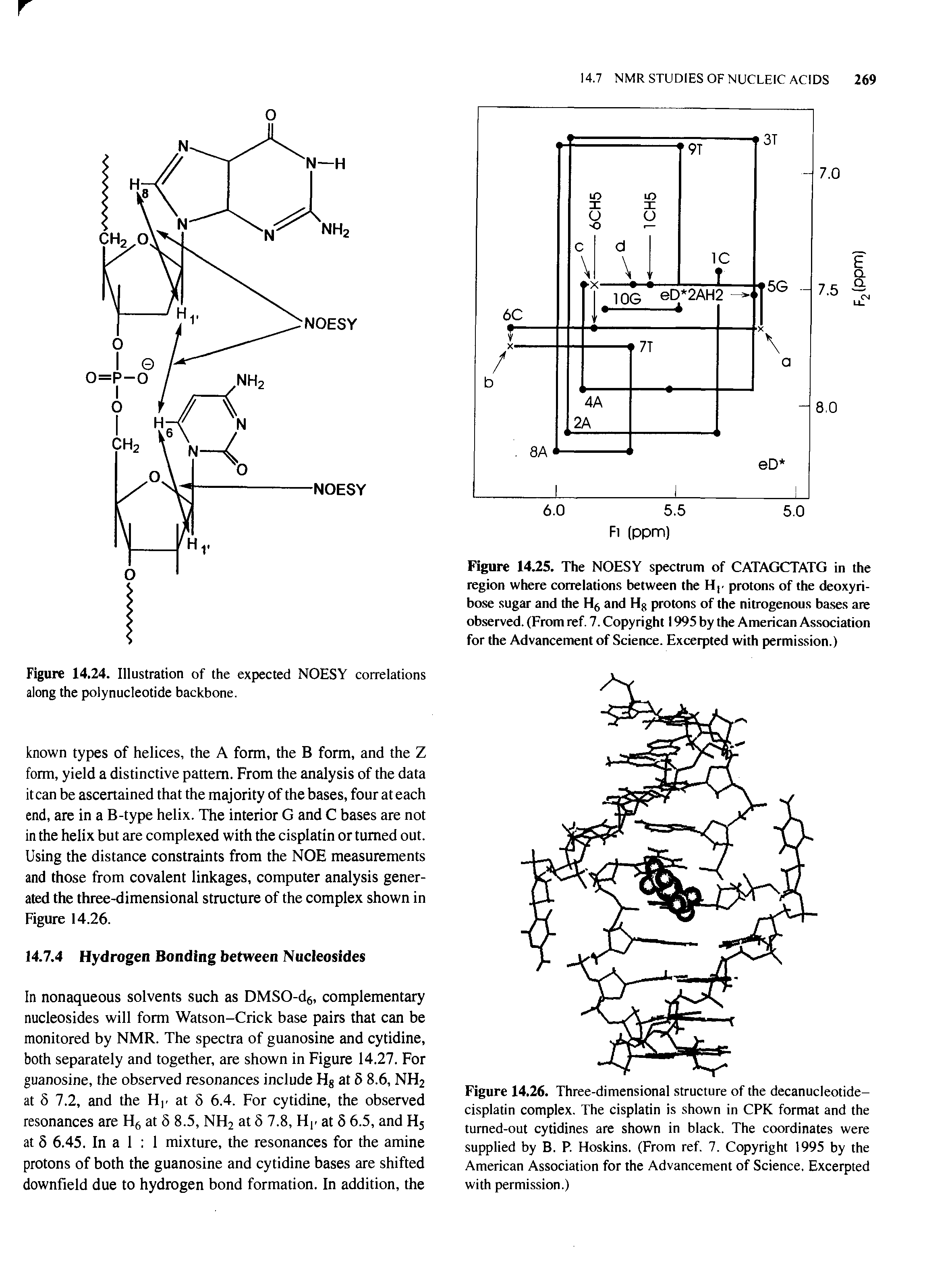 Figure 14.25. The NOESY spectrum of CATAGCTATG in the region where correlations between the Hr protons of the deoxyri-bose sugar and the H6 and Hg protons of the nitrogenous bases are observed. (From ref. 7. Copyright 1995 by the American Association for the Advancement of Science. Excerpted with permission.)...