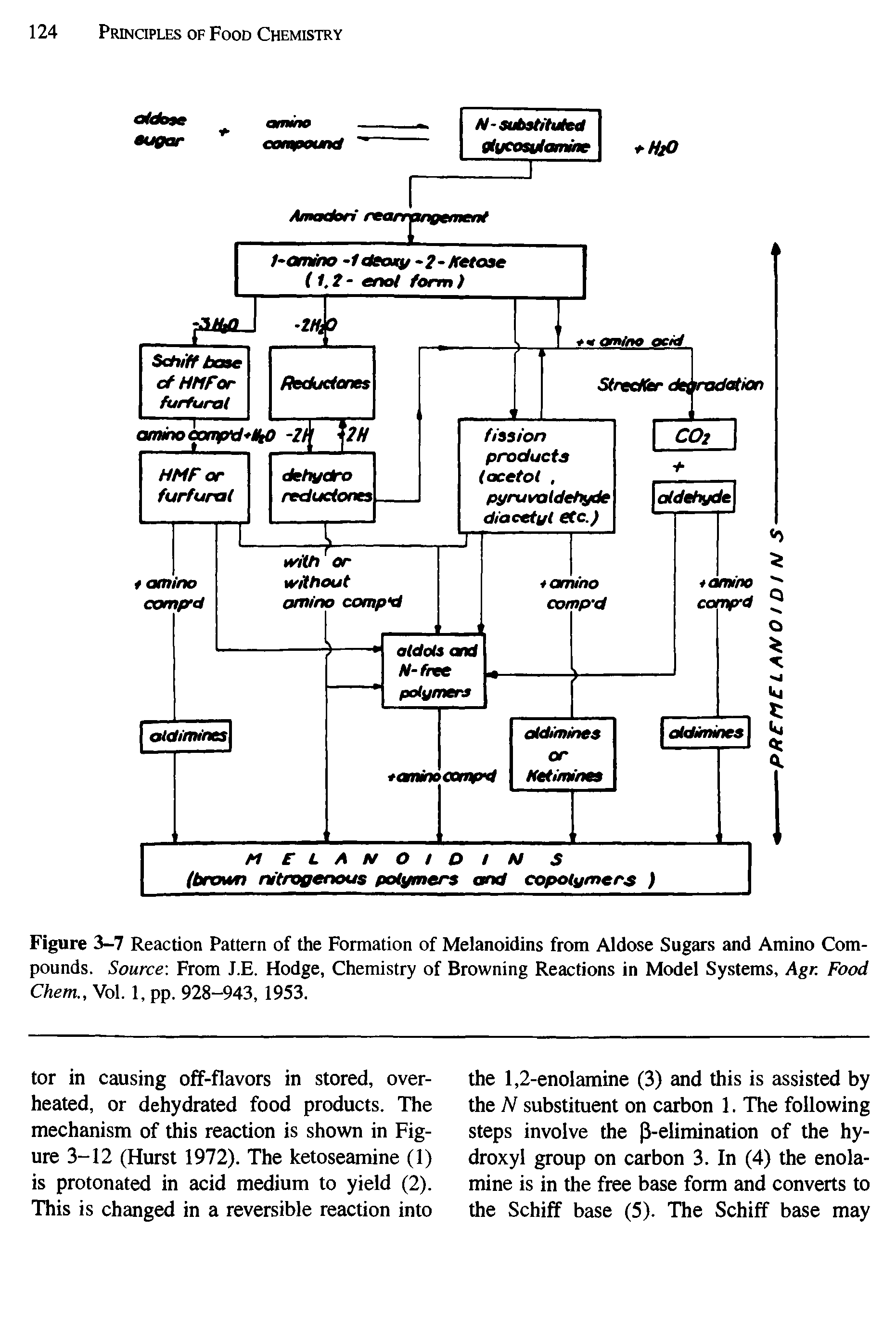 Figure 3-7 Reaction Pattern of the Formation of Melanoidins from Aldose Sugars and Amino Compounds. Source From J.E. Hodge, Chemistry of Browning Reactions in Model Systems, Agr. Food Chem., Vol. 1, pp. 928-943, 1953.