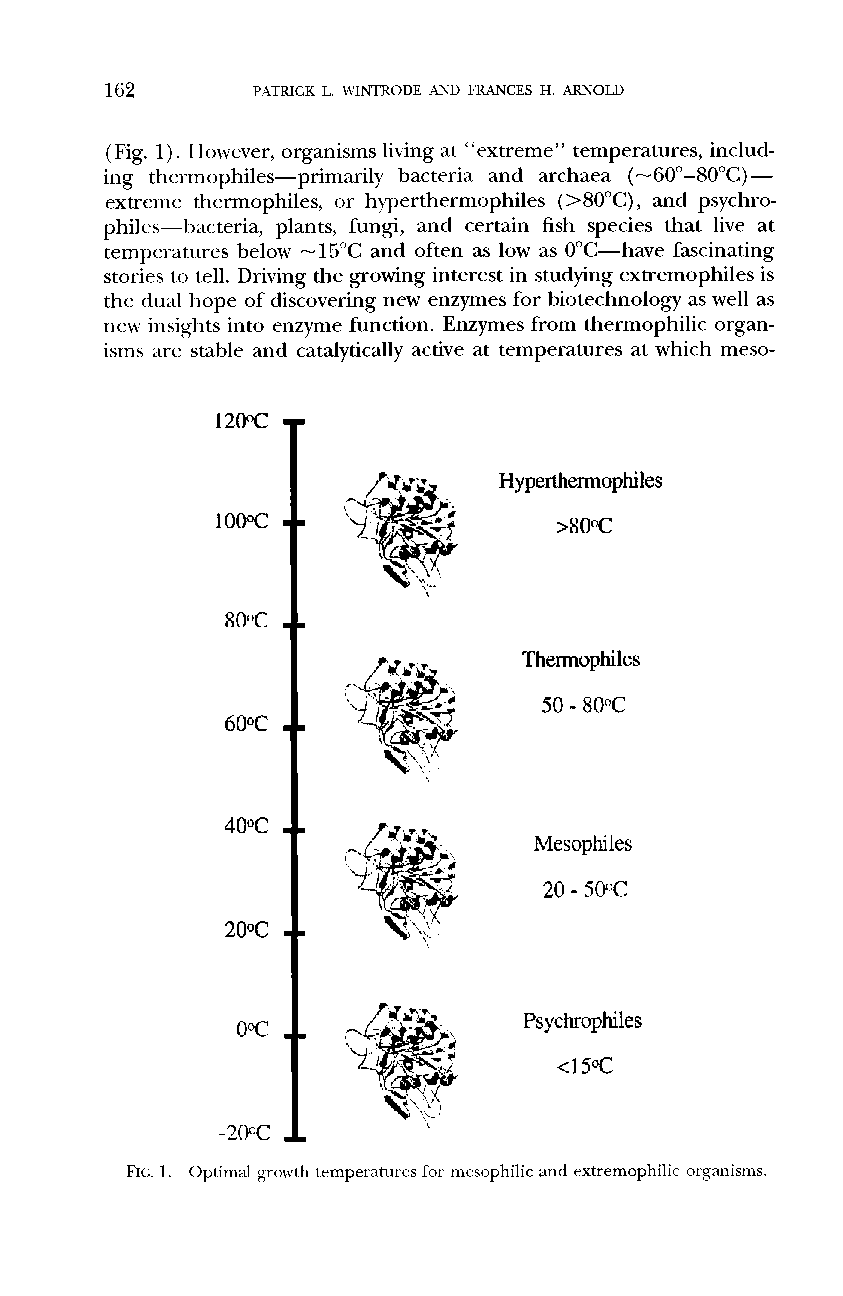 Fig. 1. Optimal growth temperatures for mesophilic and extremophilic organisms.