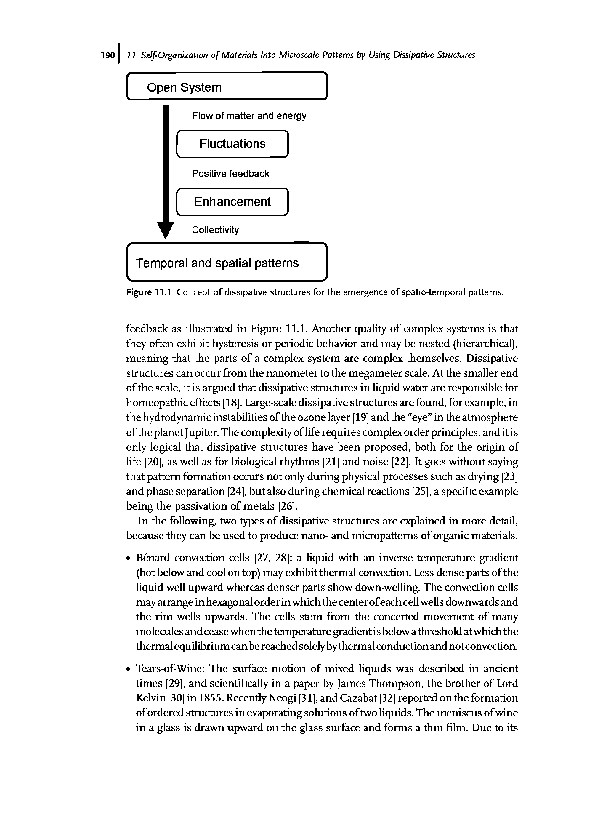 Figure 11.1 Concept of dissipative structures for the emergence of spatio-temporal patterns.