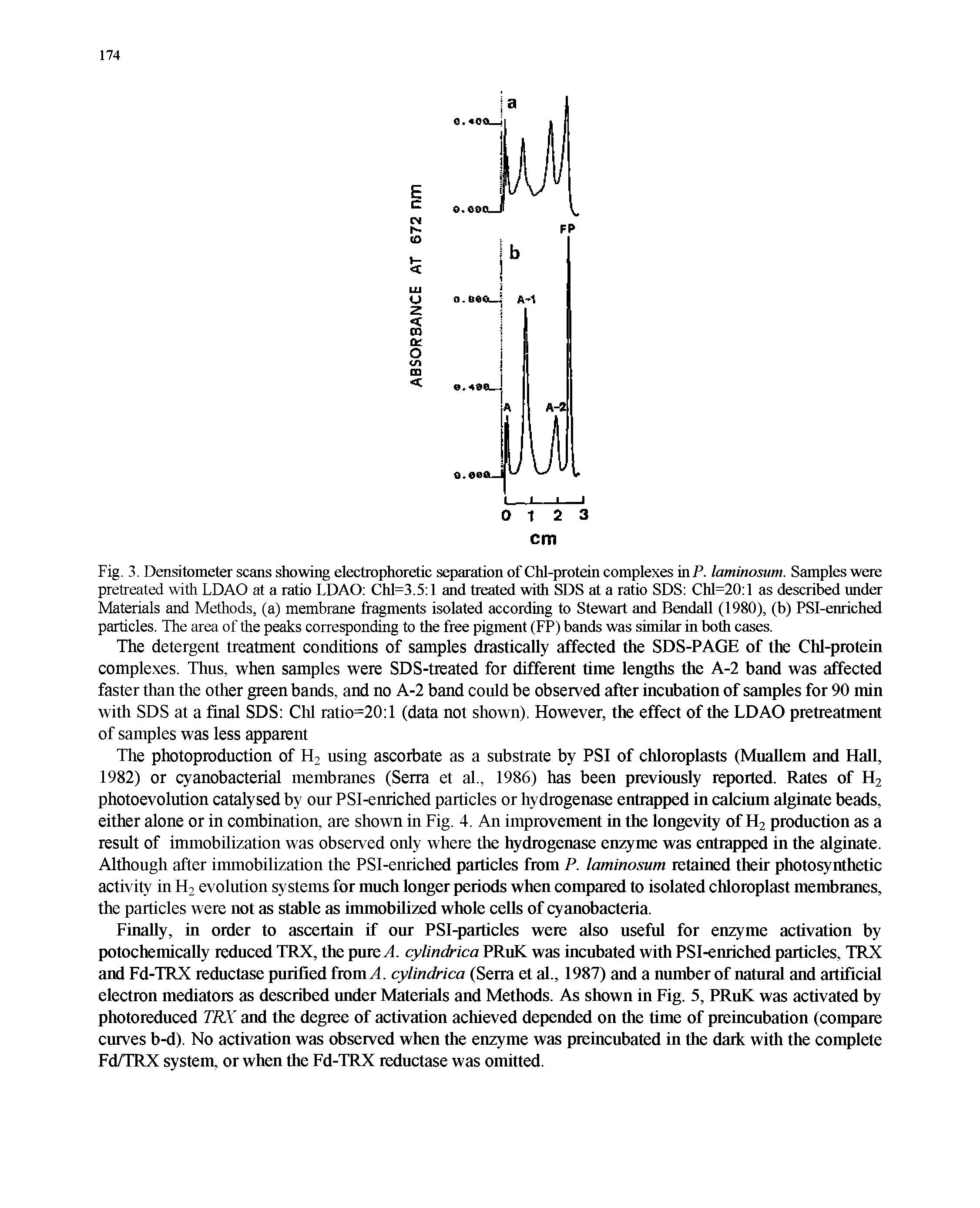 Fig. 3. Densitometer scans showing electrophoretic separation of Chl-protein complexes in P. laminosum. Samples were pretreated with LDAO at a ratio LDAO Chl=3.5 l and treated with SDS at a ratio SDS Chl=20 l as described under Materials and Methods, (a) membrane fragments isolated according to Stewart and Bendall (1980), (b) PSI-enriched particles. The area of the peaks corresponding to the free pigment (FP) bands was similar in both cases.