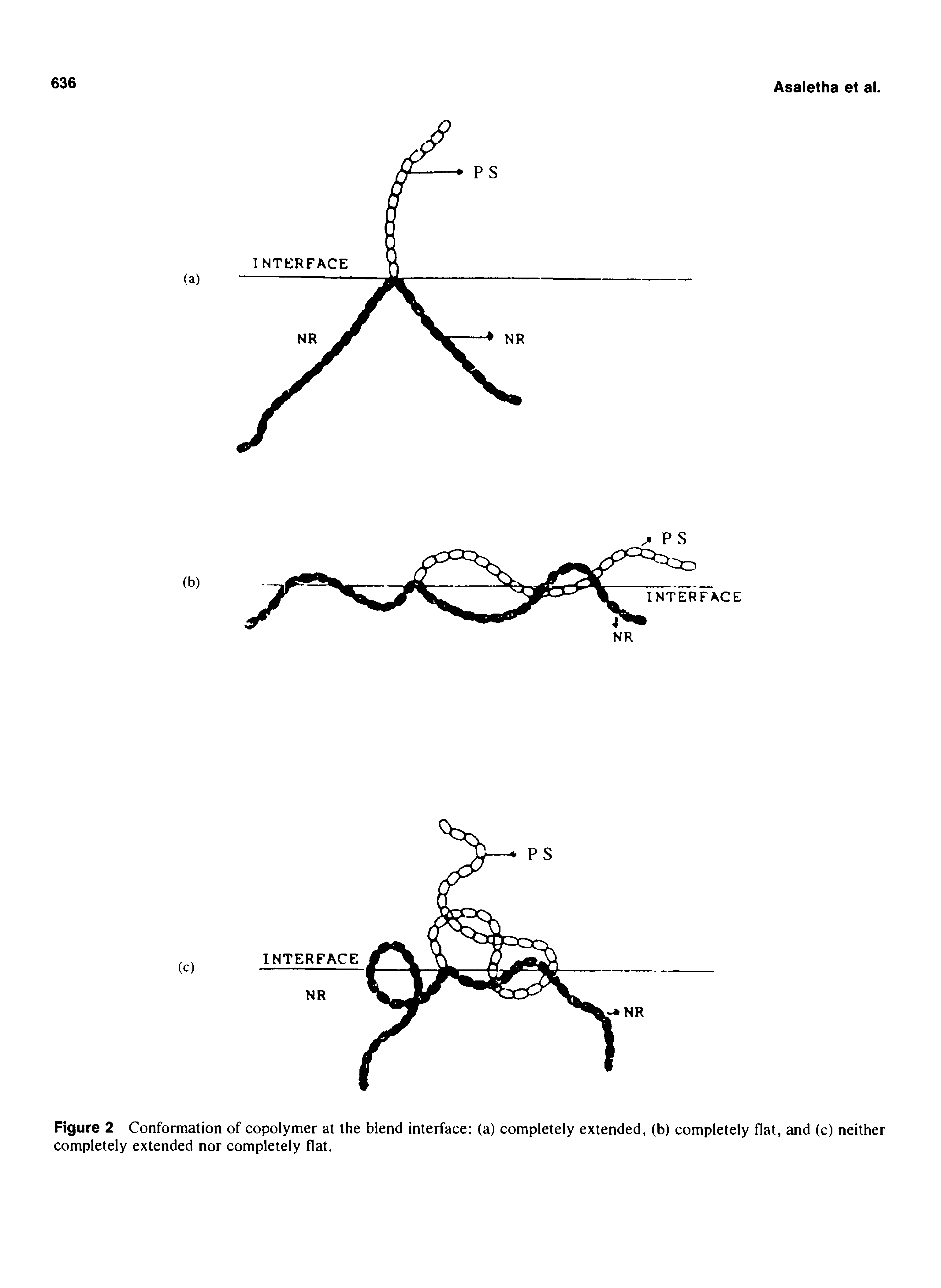 Figure 2 Conformation of copolymer at the blend interface (a) completely extended, (b) completely flat, and (c) neither completely extended nor completely flat.