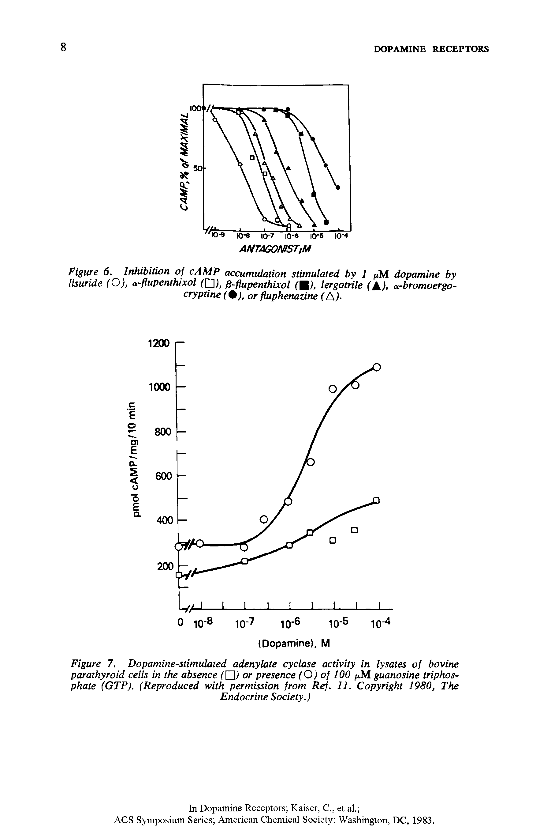 Figure 7. Dopamine-stimulated adenylate cyclase activity in lysates of bovine parathyroid cells in the absence (Q) or presence (O) of 100 pM. guanosine triphosphate (GTP). (Reproduced with permission from Ref. 11. Copyright 1980, The...