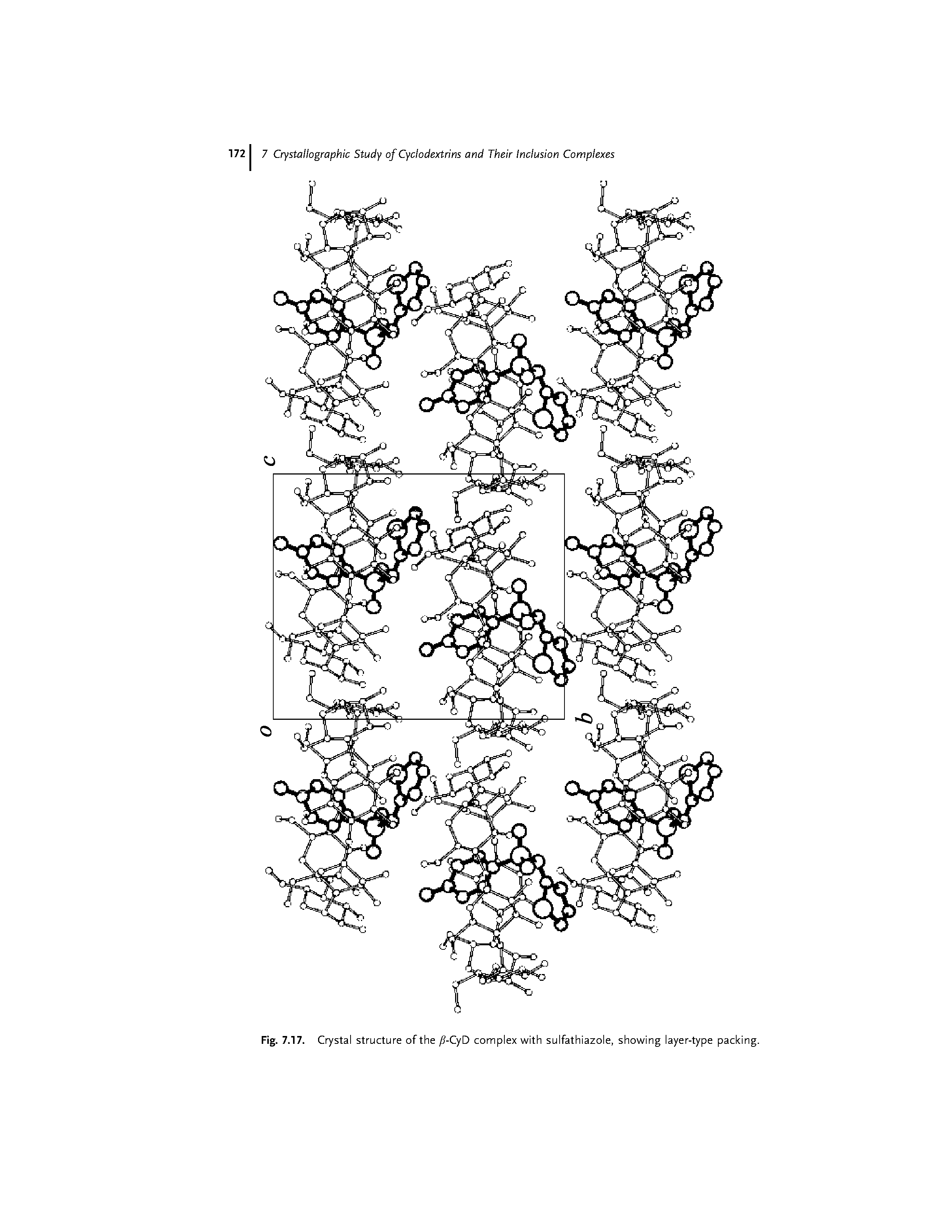 Fig. 7.17. Ciystal structure of the f-CyD complex with sulfathiazole, showing layer-type packing.