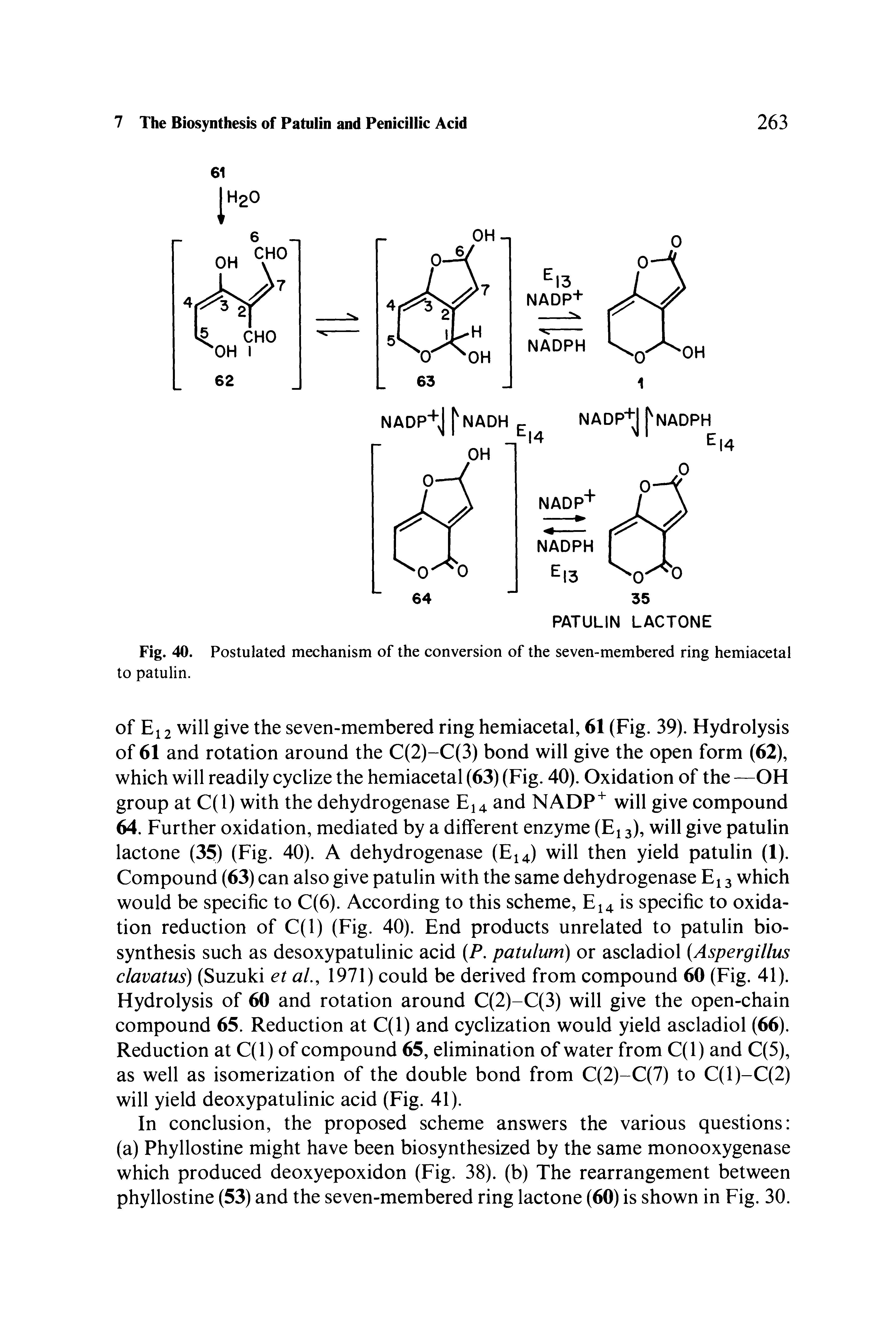 Fig. 40. Postulated mechanism of the conversion of the seven-membered ring hemiacetal to patulin.