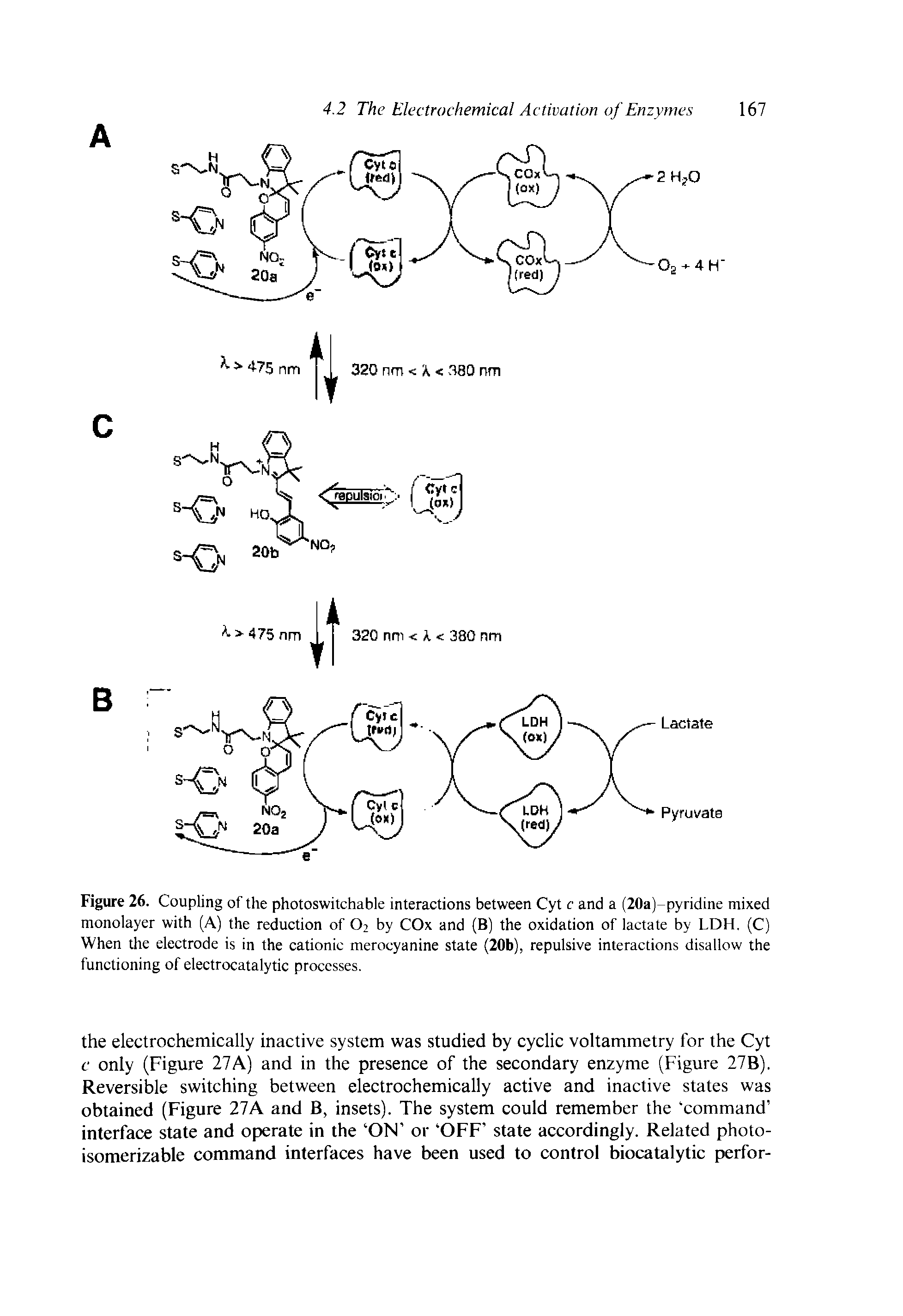 Figure 26. Coupling of the photoswitchable interactions between Cyt c and a (20a)-pyridine mixed monolayer with (A) the reduction of O2 by COx and (B) the oxidation of lactate by LDH. (C) When the electrode is in the cationic merocyanine state (20b), repulsive interactions disallow the functioning of electrocatalytic processes.