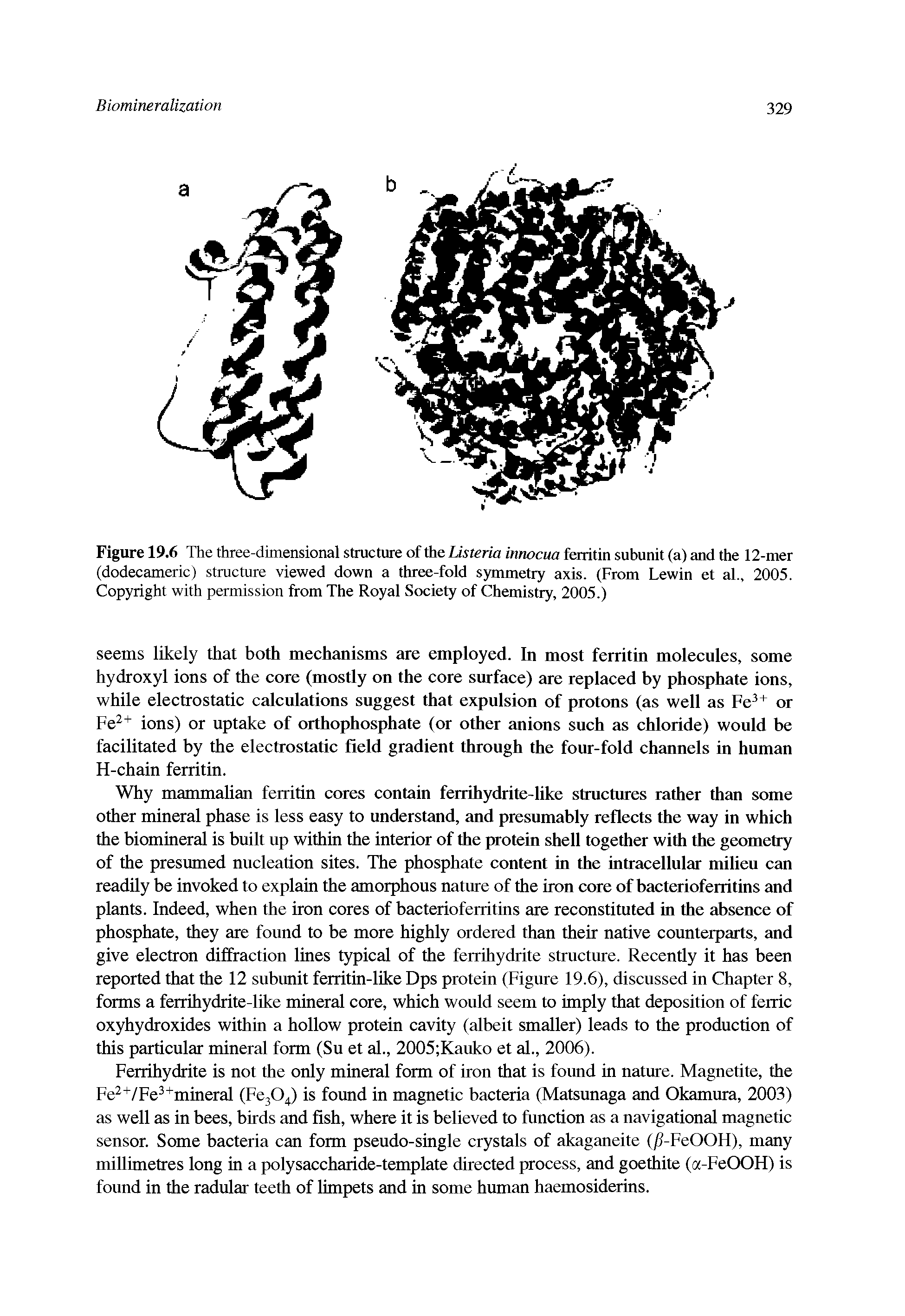 Figure 19.6 The three-dimensional structure of the Listeria innocua ferritin subunit (a) and the 12-mer (dodecameric) structure viewed down a three-fold symmetry axis. (From Lewin et al., 2005. Copyright with permission from The Royal Society of Chemistry, 2005.)...