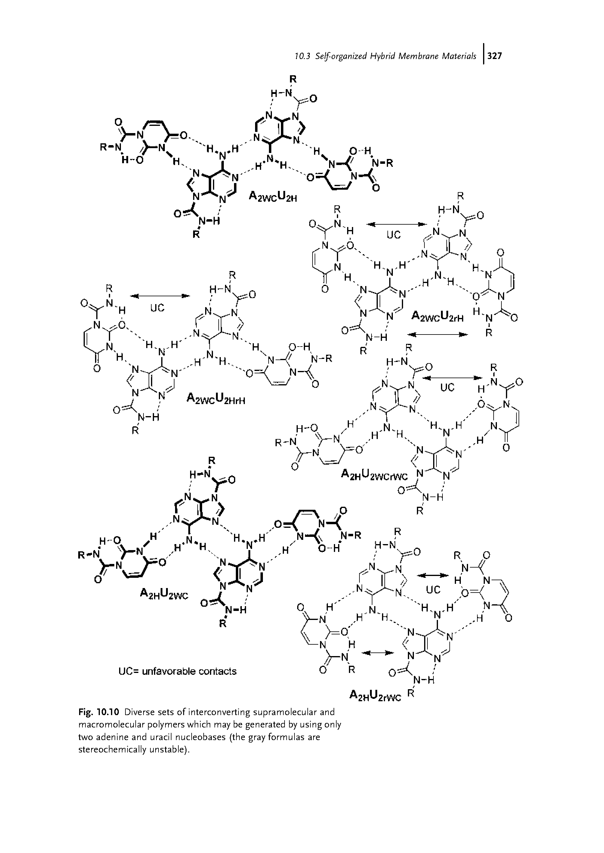 Fig. 10.10 Diverse sets of interconverting supramolecular and macromolecular polymers which may be generated by using only two adenine and uracil nucleobases (the gray formulas are stereochemically unstable).