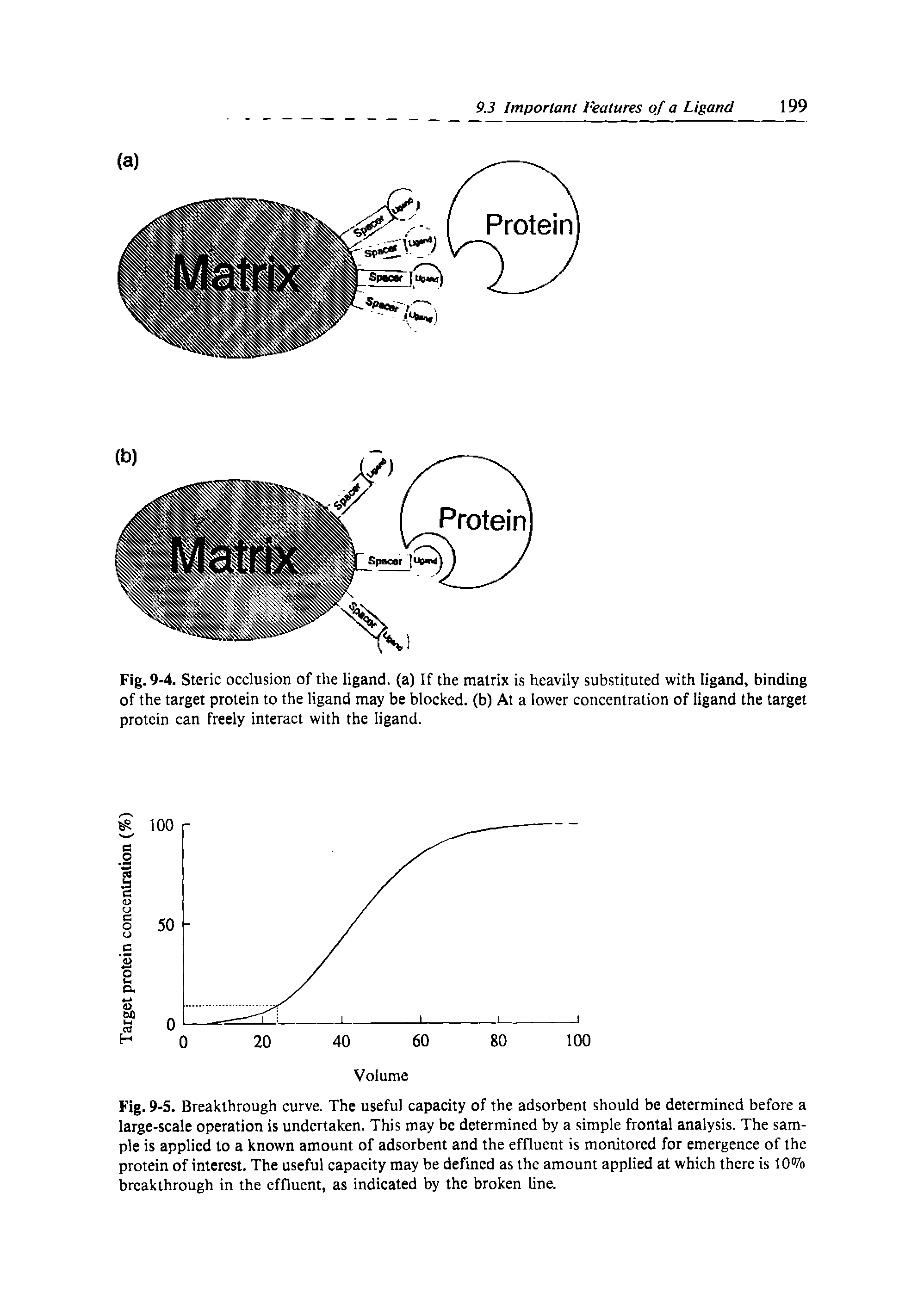 Fig. 9-4. Steric occlusion of the ligand, (a) If the matrix is heavily substituted with ligand, binding of the target protein to the ligand may be blocked, (b) At a lower concentration of ligand the target protein can freely interact with the ligand.