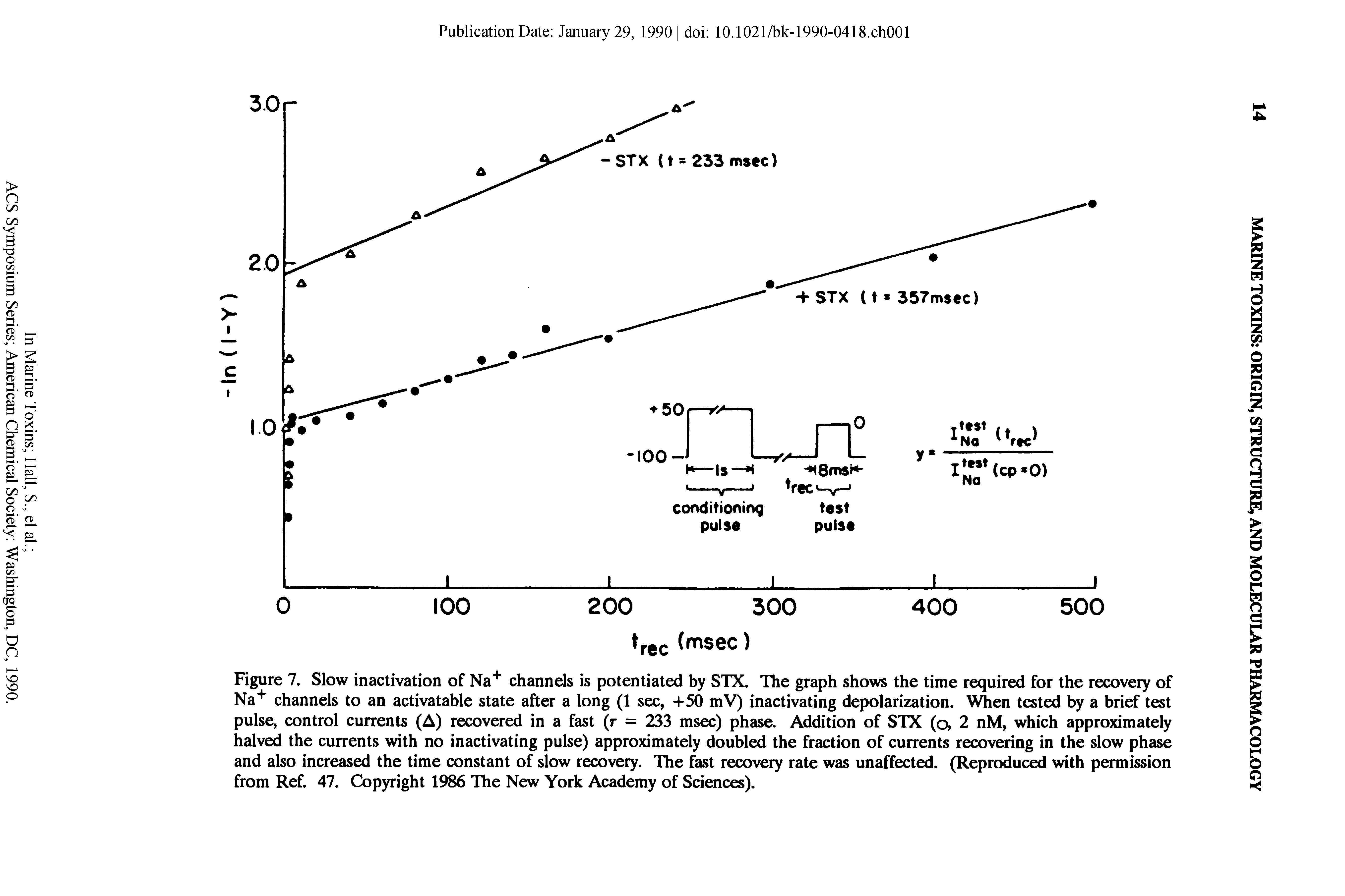 Figure 7. Slow inactivation of Na channels is potentiated by STX. The graph shows the time required for the recovery of Na channels to an activatable state after a long (1 sec, +50 mV) inactivating depolarization. When tested by a brief test pulse, control currents (A) recovered in a fast (r = 233 msec) phase. Addition of STX (q, 2 nM, which approximately halved the currents with no inactivating pulse) approximately doubled the fraction of currents recovering in the slow phase and also increased the time constant of slow recovery. The fast recovery rate was unaffected. (Reproduced with permission from Ref. 47. Copyright 1986 The New York Academy of Sciences).