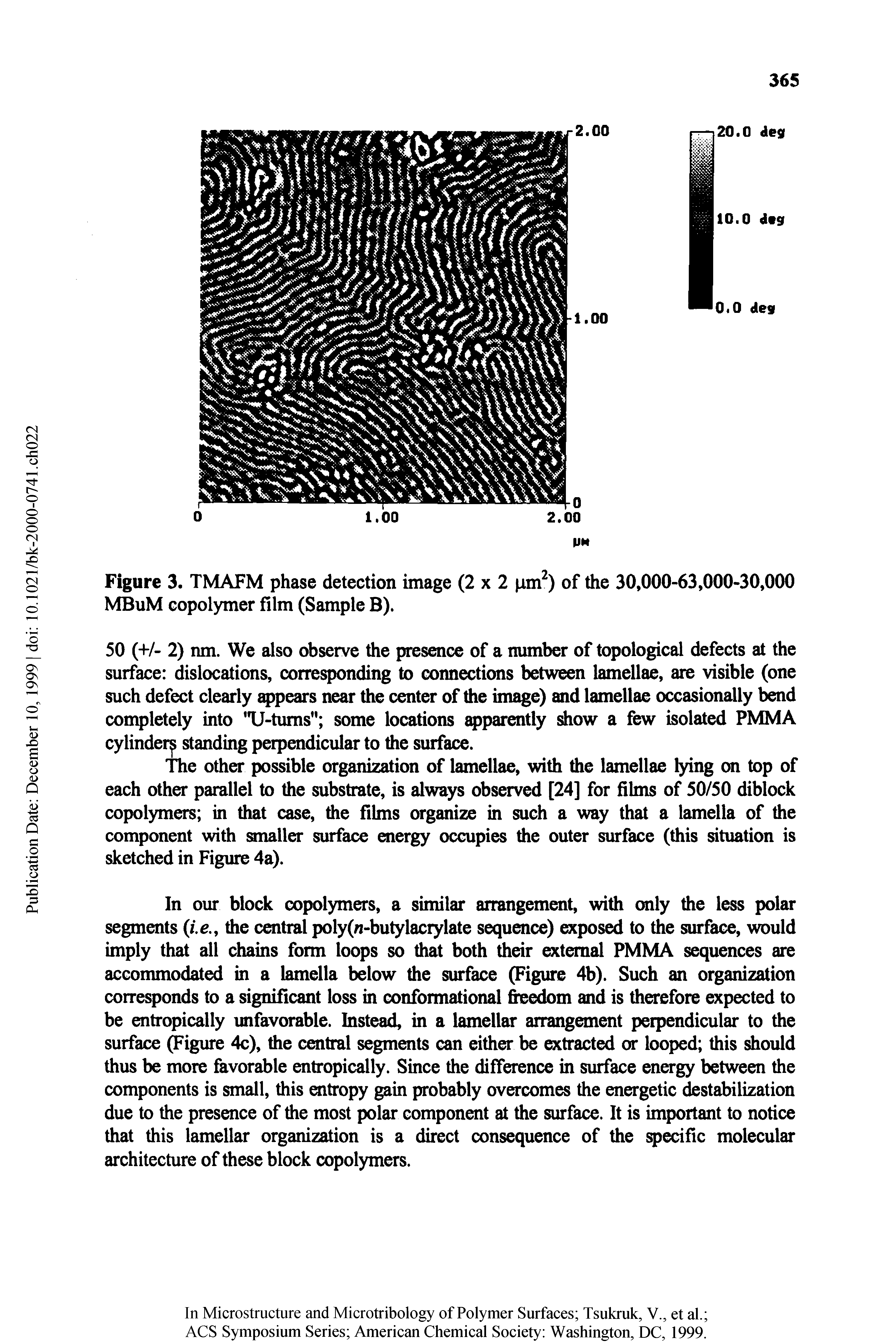 Figure 3. TMAFM phase detection image (2x2 pm ) of the 30,000-63,000-30,000 MBuM copolymer film (Sample B).