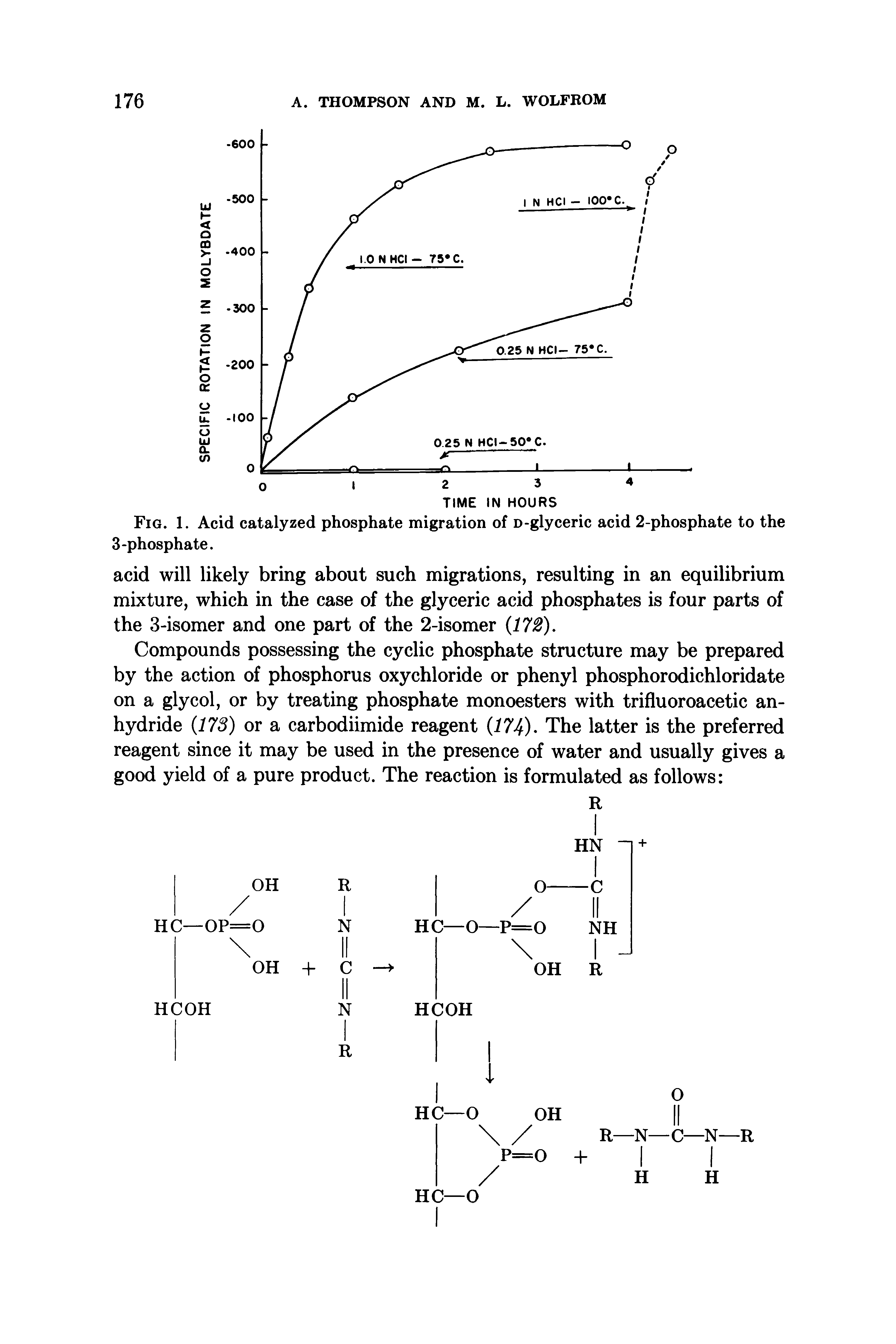 Fig. 1. Acid catalyzed phosphate migration of D-glyceric acid 2-phosphate to the 3-phosphate.