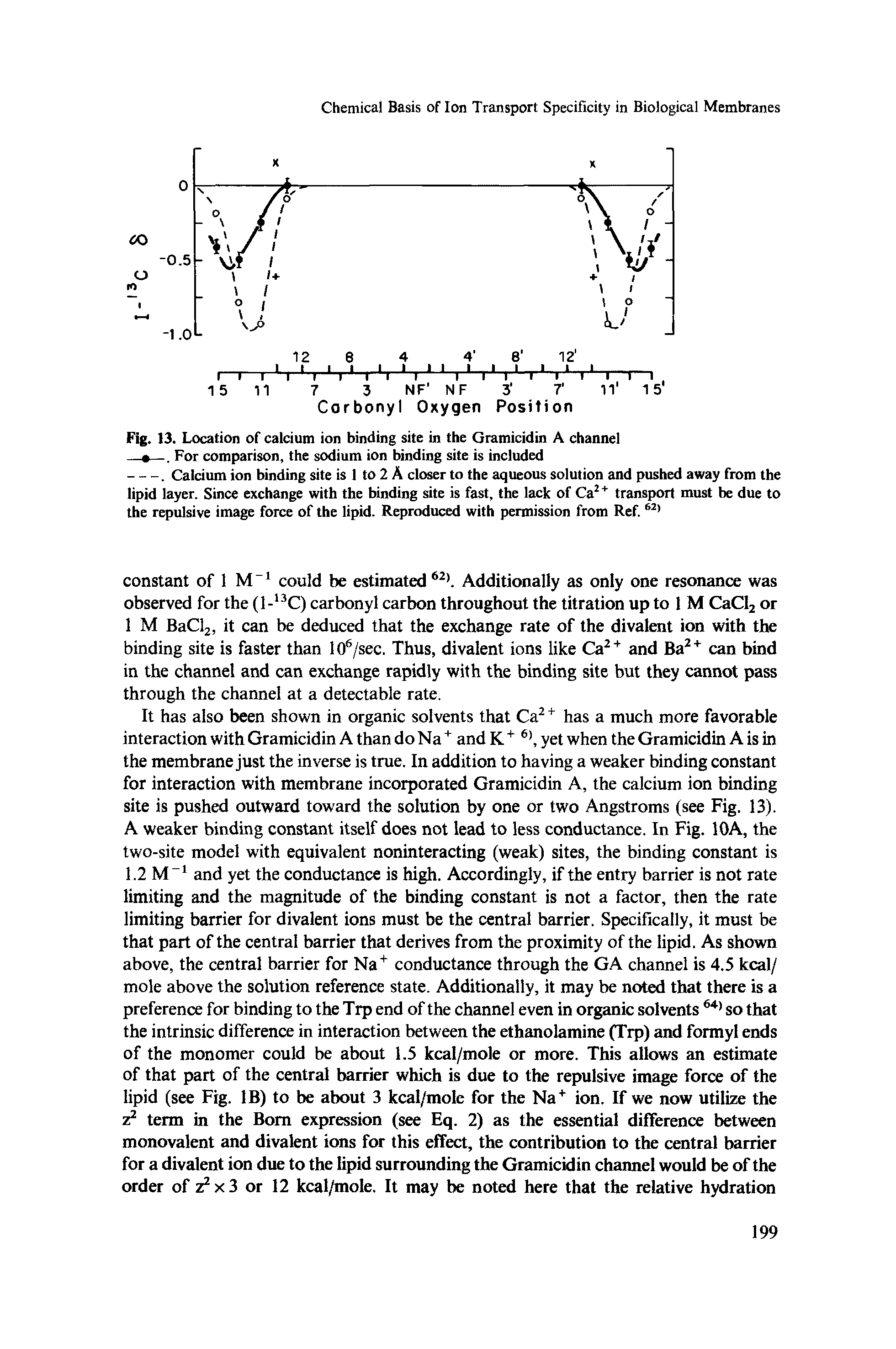 Fig. 13. Location of calcium ion binding site in the Gramicidin A channel —. For comparison, the sodium ion binding site is included...