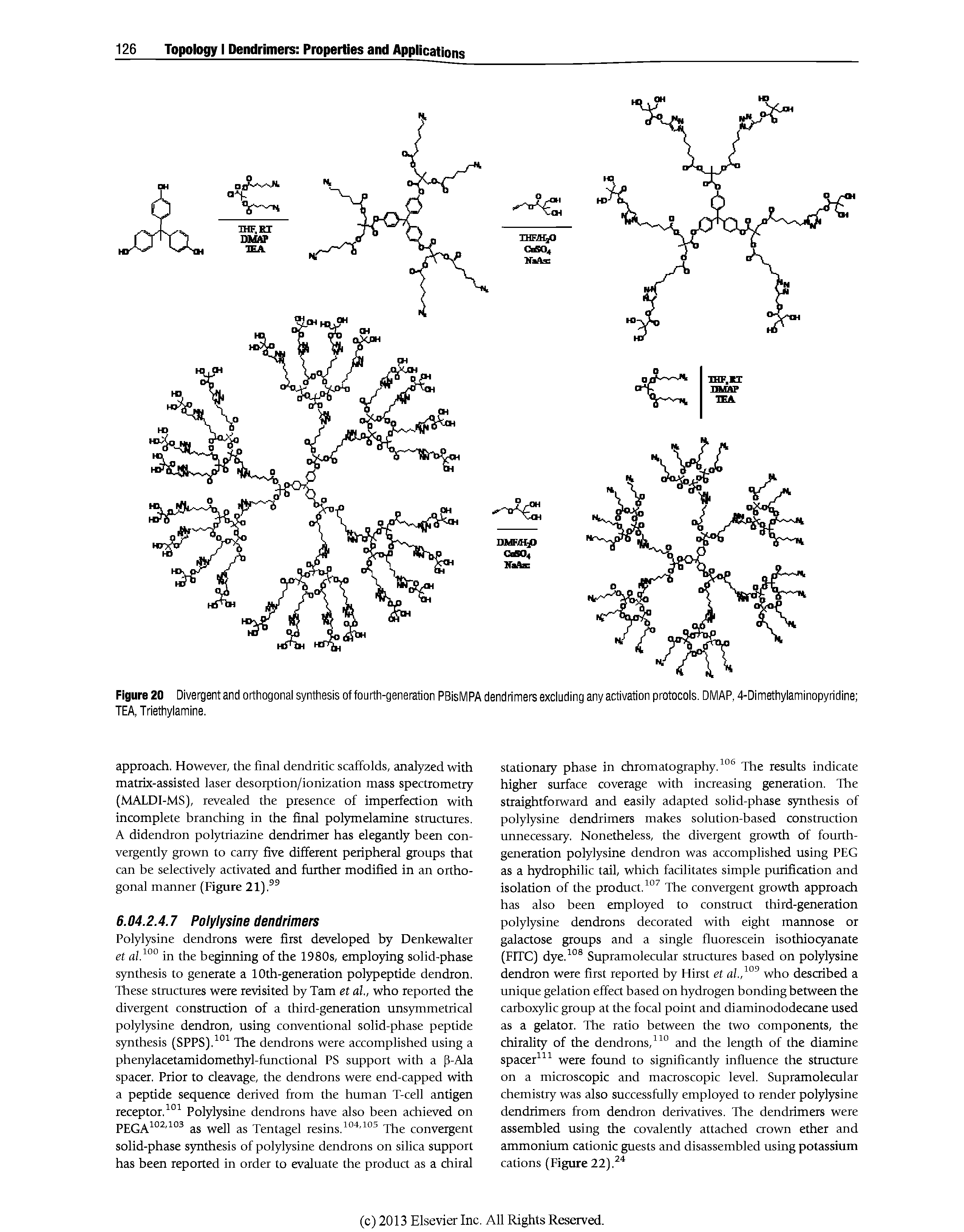 Figure 20 Divergent and orthogonal synthesis of fourth-generation PBisMPA dendrimers excluding any activation protocols. DMAP, 4-Dimethylaminopyridine TEA, Triethylamine.