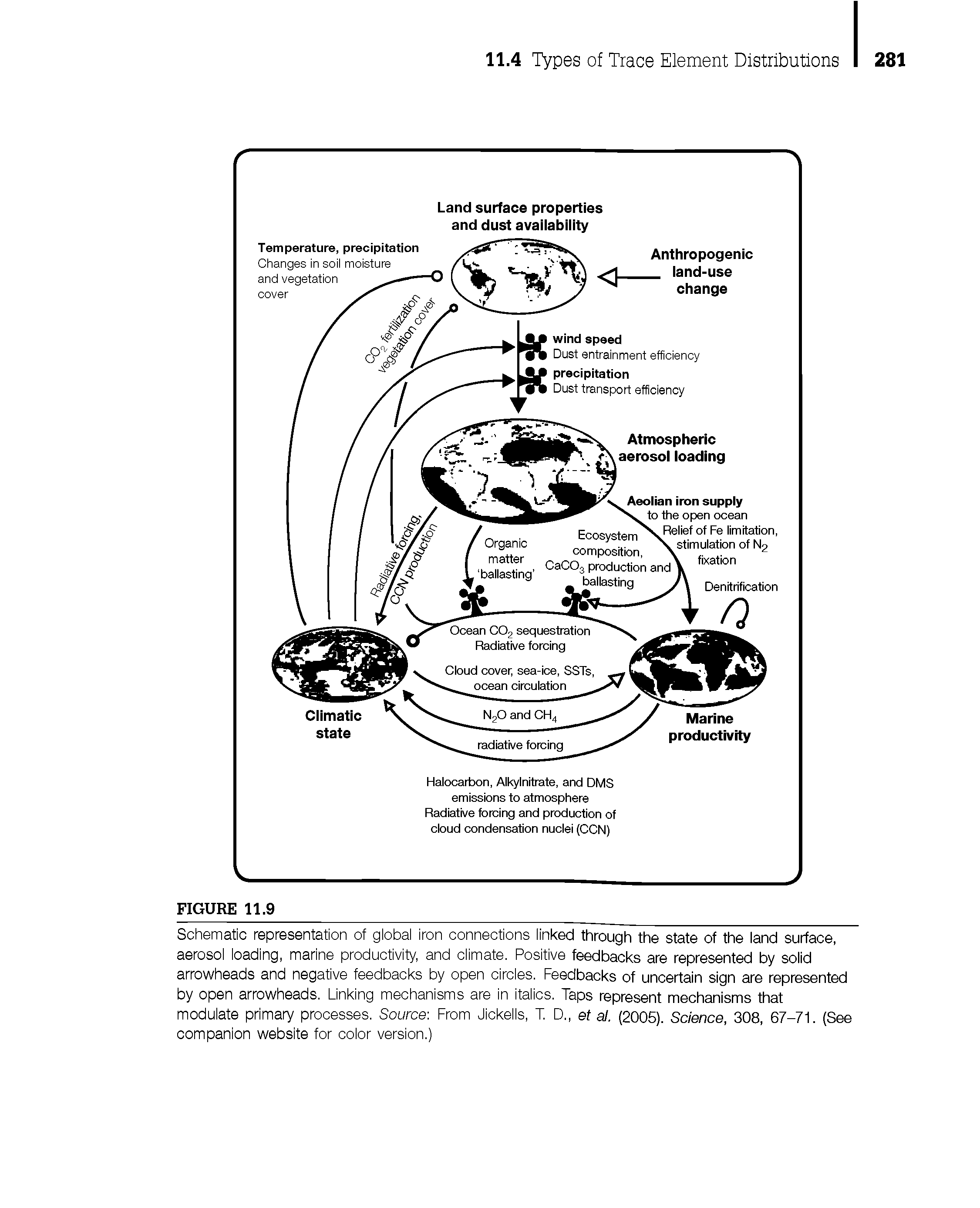 Schematic representation of global iron connections linked through the state of the land surface, aerosol loading, marine productivity, and climate. Positive feedbacks are represented by solid arrowheads and negative feedbacks by open circles. Feedbacks of uncertain sign are represented by open arrowheads. Linking mechanisms are in italics. Taps represent mechanisms that modulate primary processes. Source-. From Jickells, T. D., et al. (2005). Science, 308, 67-71. (See companion website for color version.)...