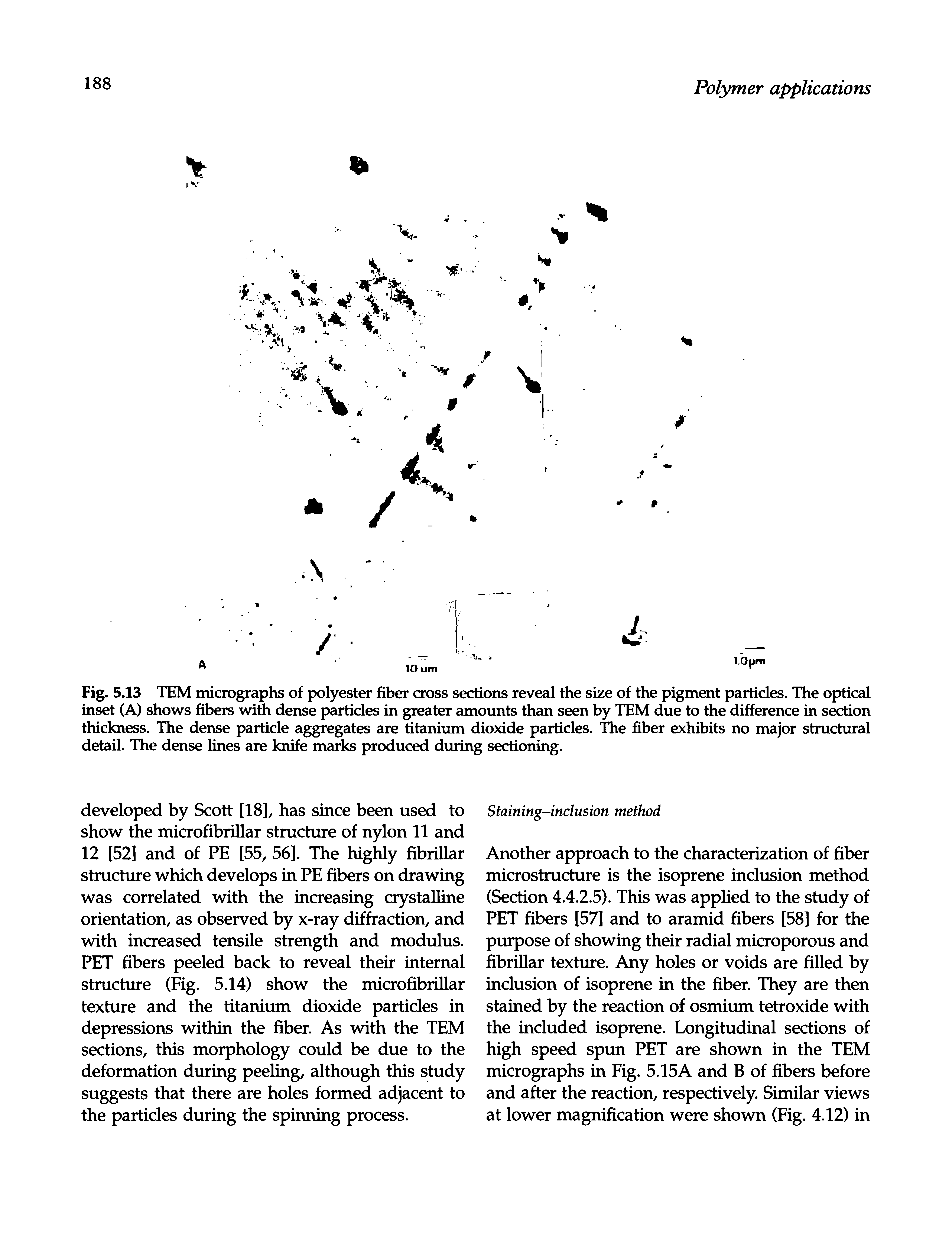 Fig. 5.13 TEM micrographs of polyester fiber cross sections reveal the size of the pigment particles. The optical inset (A) shows fibers with dense particles in greater amounts than seen by TEM due to the difference in section thickness. The dense particle aggregates are titanium dioxide particles. The fiber exhibits no major structural detail. The dense lines are knife marks produced during sectioning.