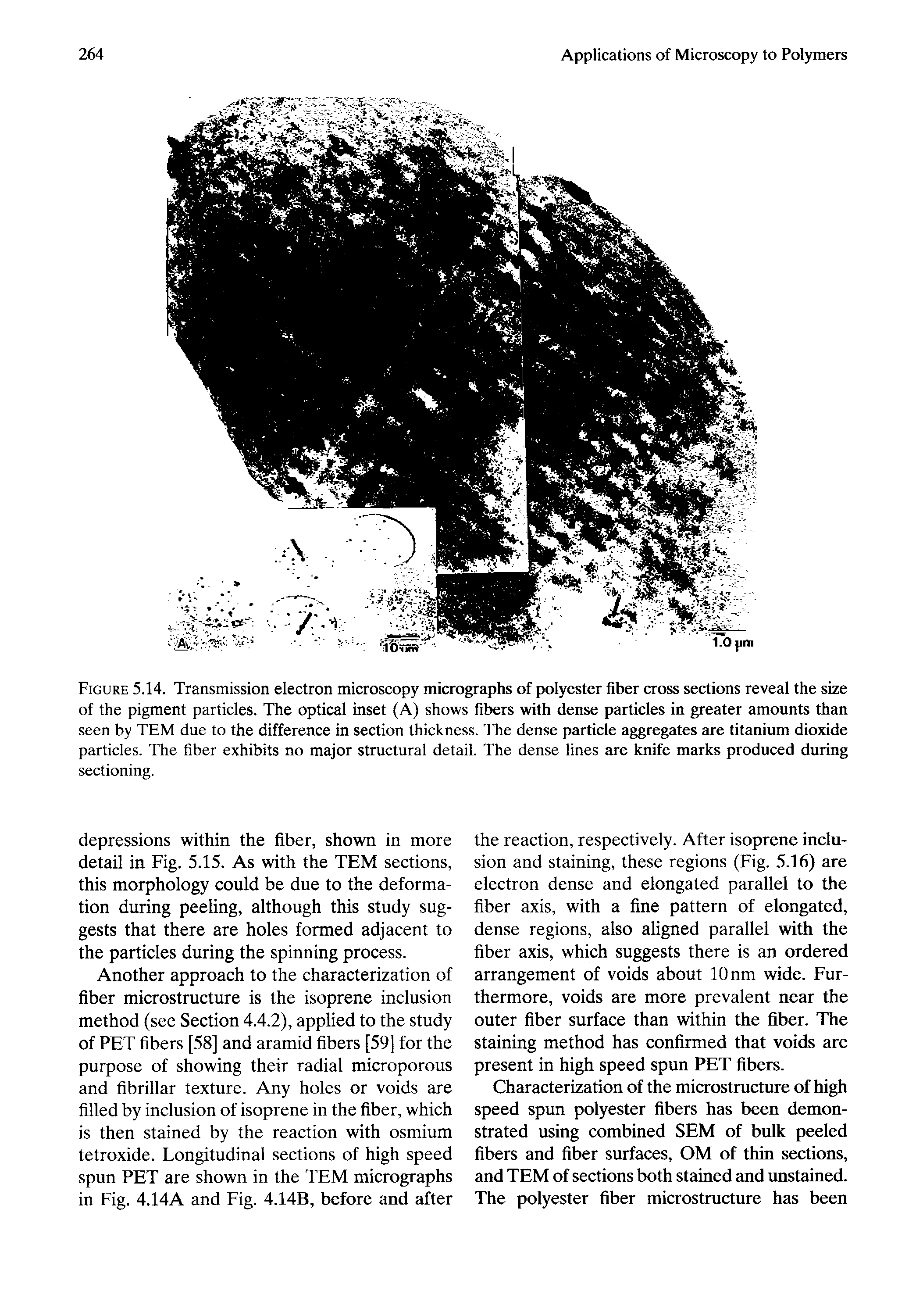 Figure 5.14. Transmission electron microscopy micrographs of p)olyester fiber cross sections reveal the size of the pigment particles. The optical inset (A) shows fibers with dense particles in greater amounts than seen by TEM due to the difference in section thickness. The dense particle aggregates are titanium dioxide particles. The fiber exhibits no major structural detail. The dense lines are knife marks produced during...