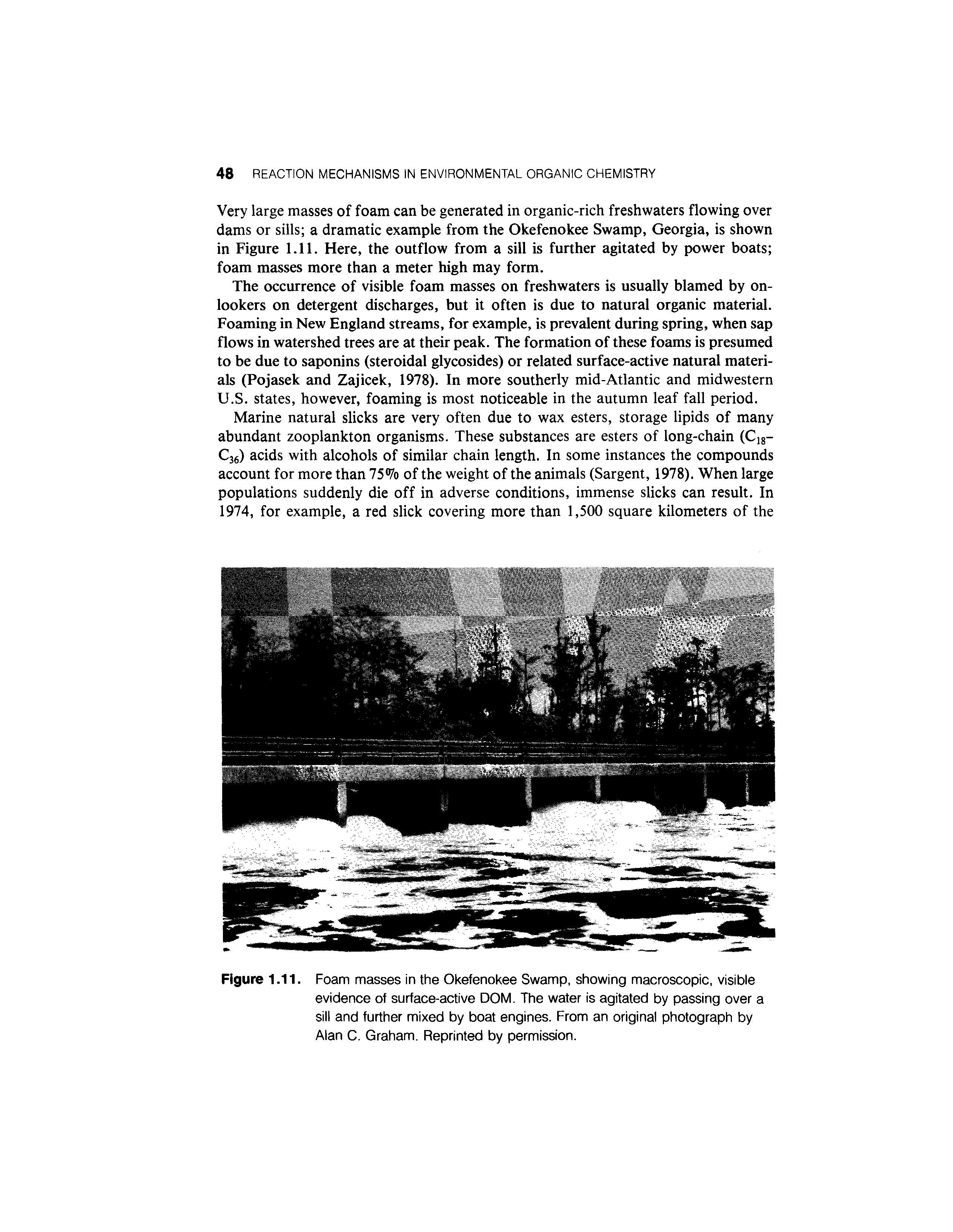 Figure 1.11. Foam masses in the Okefenokee Swamp, showing macroscopic, visible evidence of surface-active DOM. The water is agitated by passing over a sill and further mixed by boat engines. From an original photograph by Alan C, Graham. Reprinted by permission.