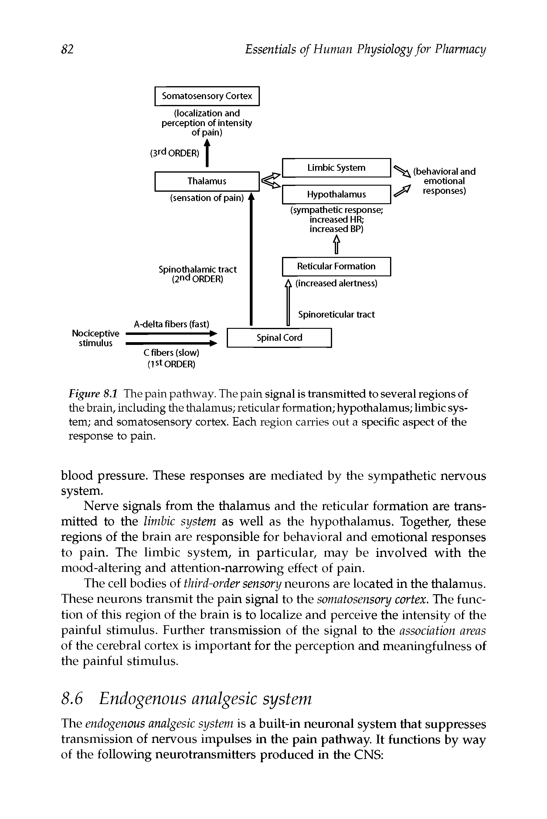 Figure 8.1 The pain pathway. The pain signal is transmitted to several regions of the brain, including the thalamus reticular formation hypothalamus limbic system and somatosensory cortex. Each region carries out a specific aspect of the response to pain.