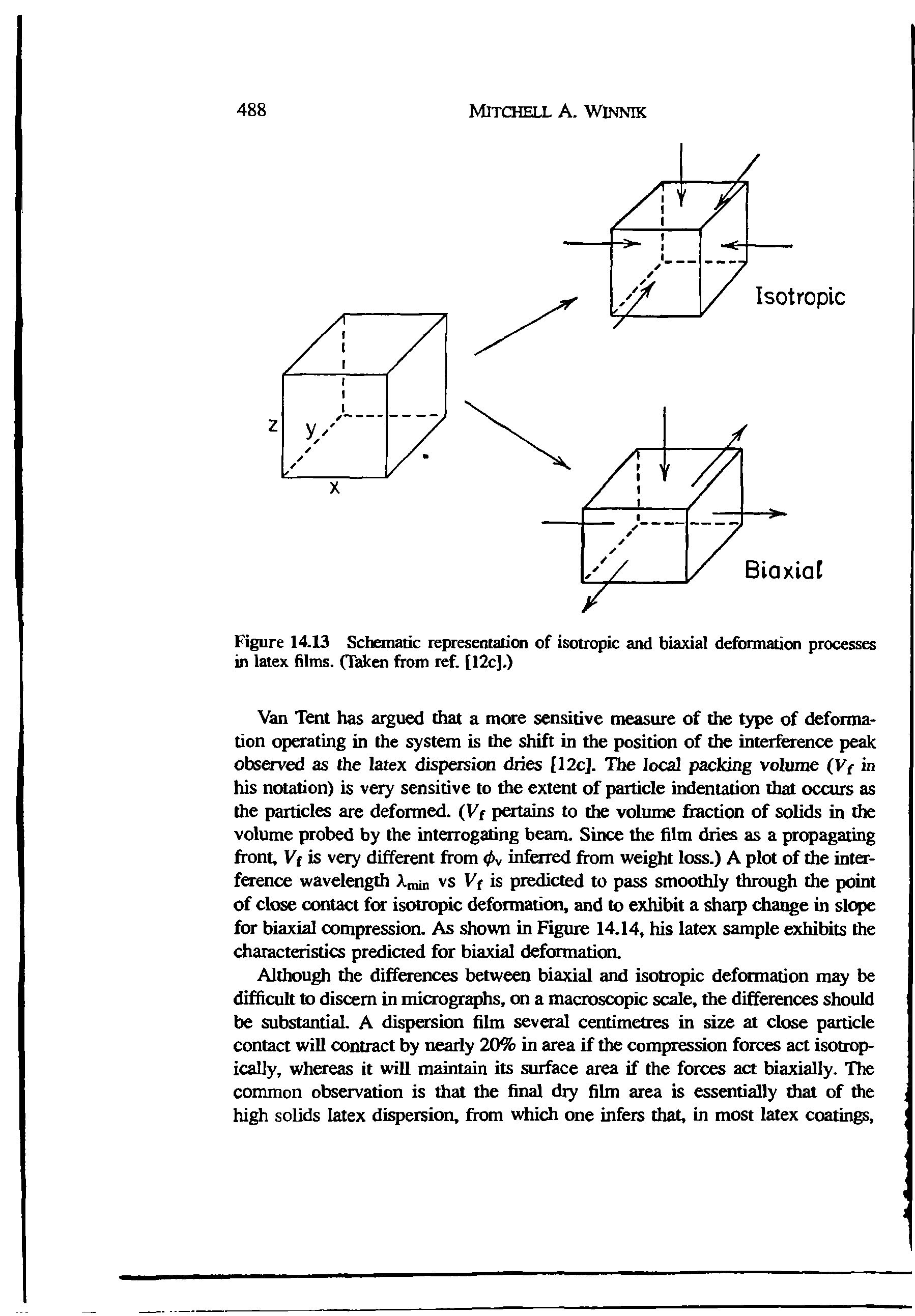 Figure 14 13 Schematic represemation of isotropic and biaxial deformation processes in latex films. (Taken from ref. [12c].)...
