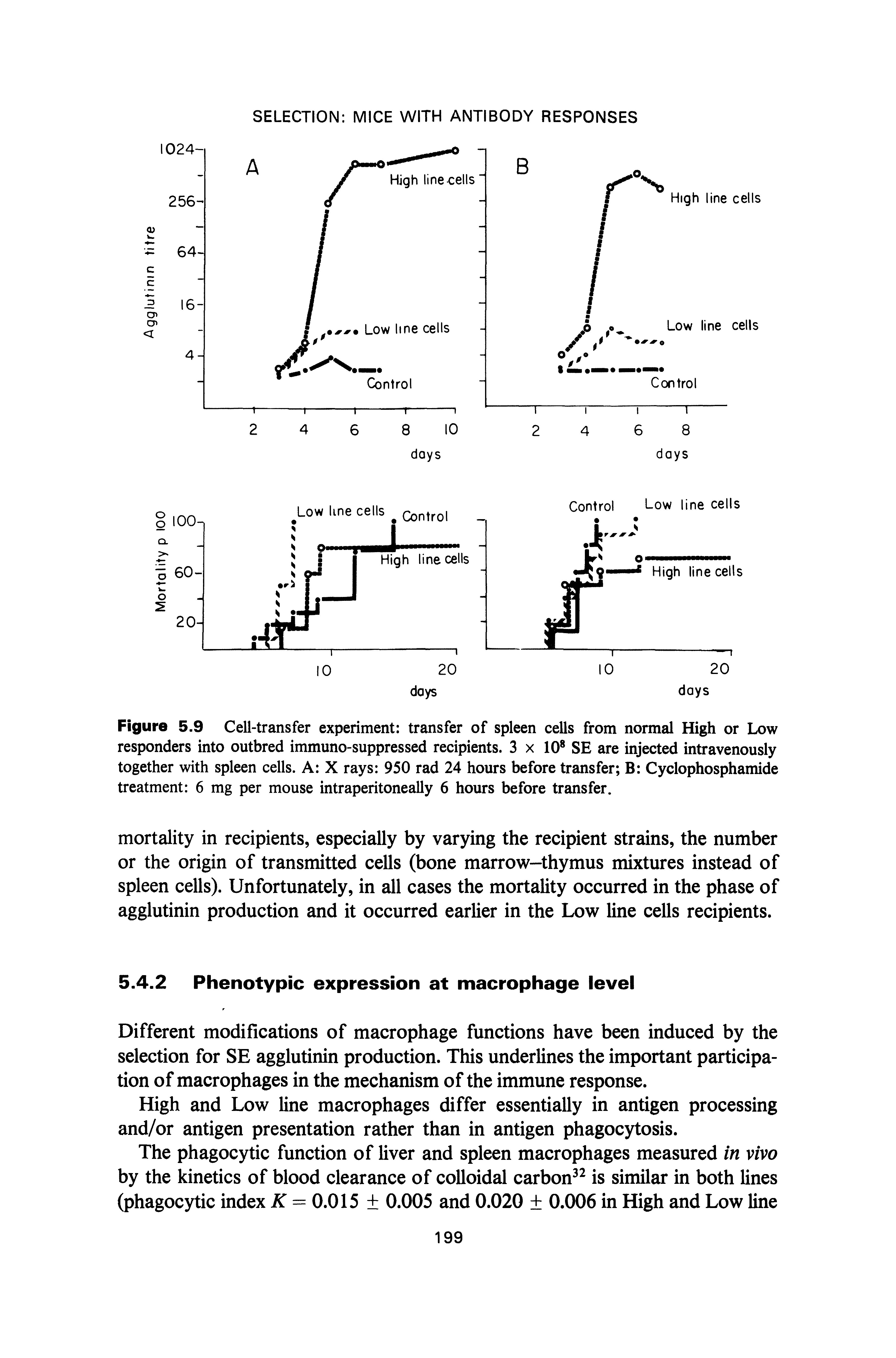 Figure 5.9 Cell-transfer experiment transfer of spleen cells from normal High or Low responders into outbred immuno-suppressed recipients. 3 x 10 SE are injected intravenously together with spleen cells. A X rays 950 rad 24 hours before transfer B Cyclophosphamide treatment 6 mg per mouse intraperitoneally 6 hours before transfer.