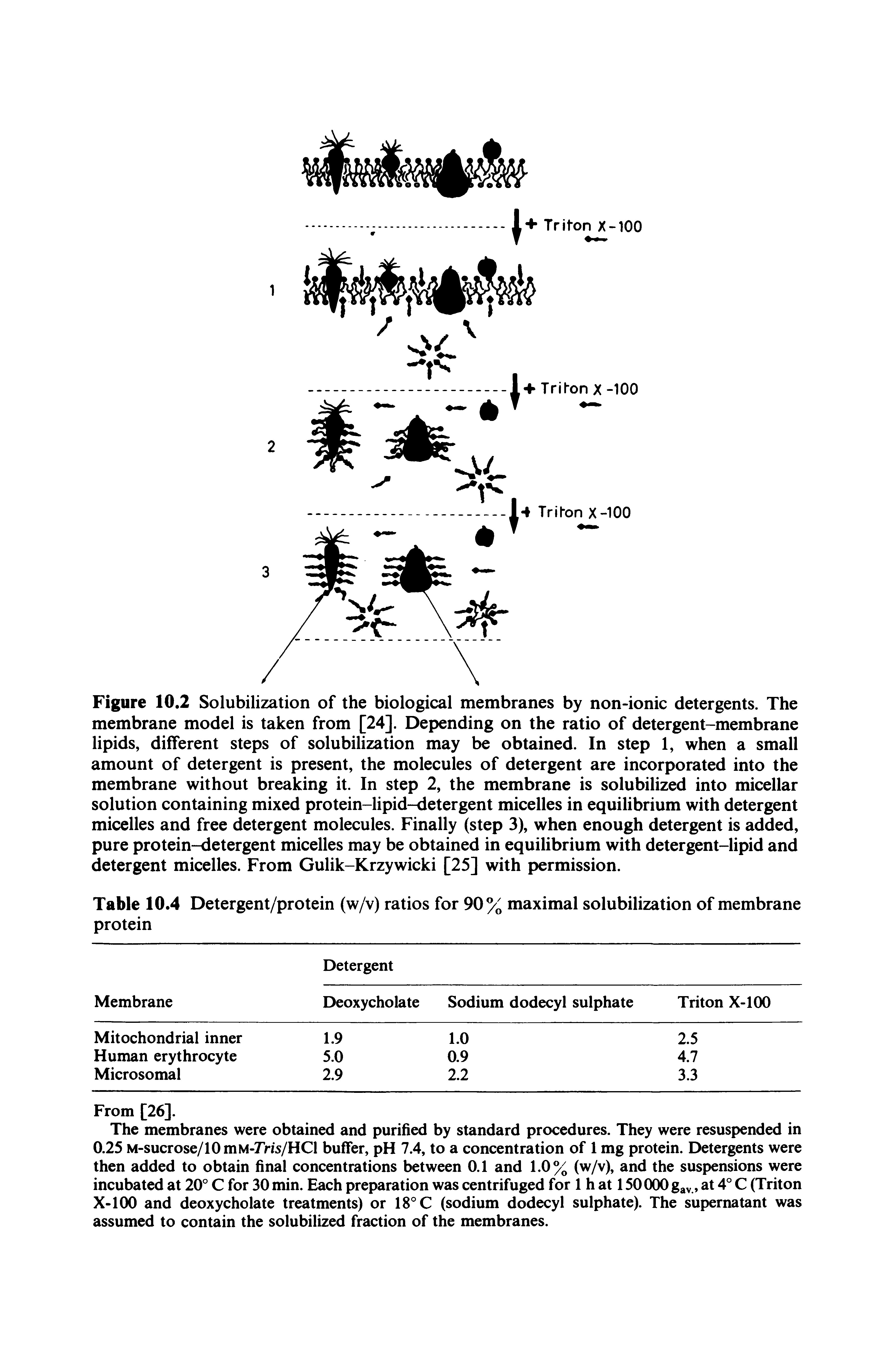 Table 10.4 Detergent/protein (w/v) ratios for 90% maximal solubilization of membrane protein...