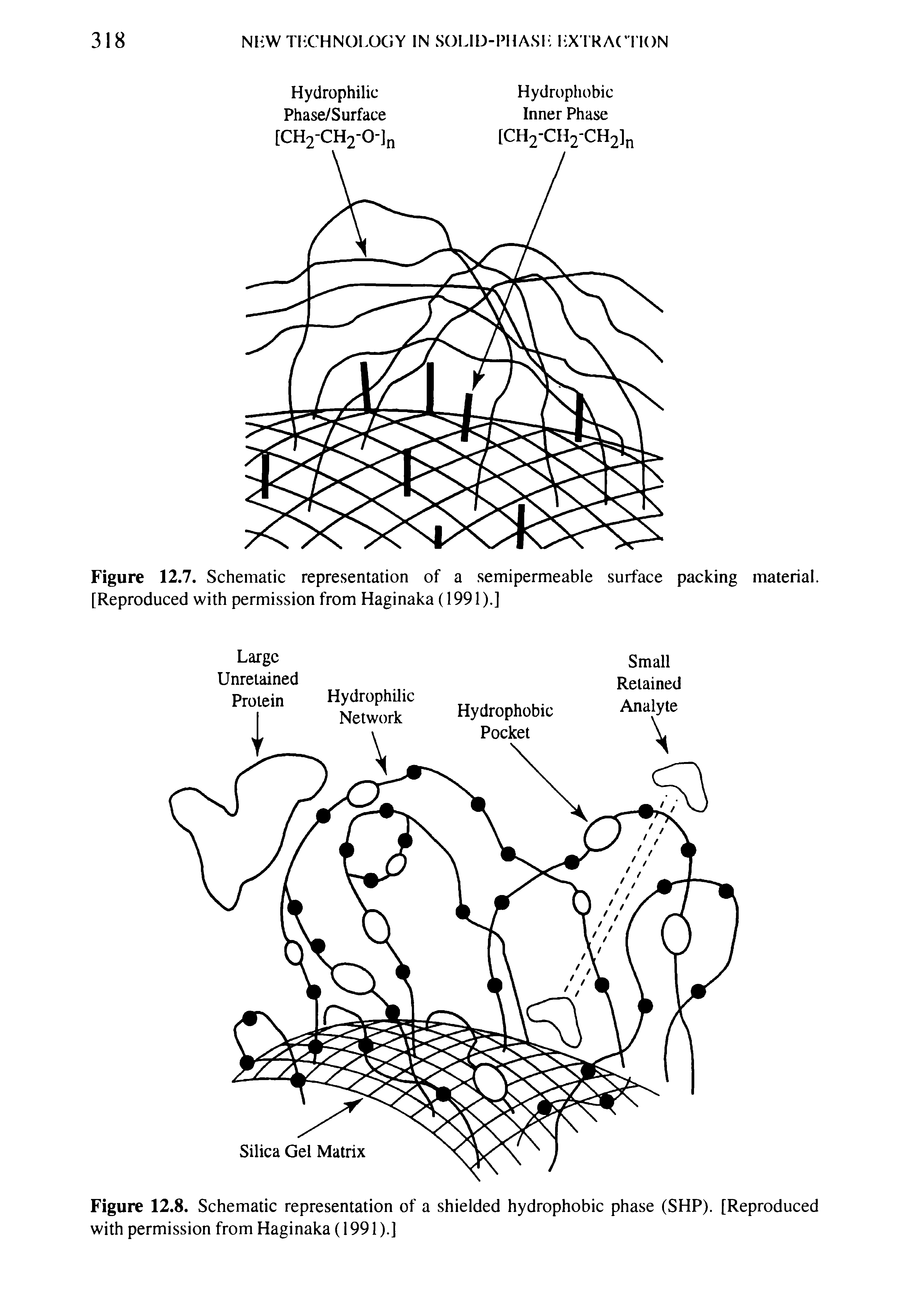 Figure 12.8. Schematic representation of a shielded hydrophobic phase (SHP). [Reproduced with permission from Haginaka (1991).]...