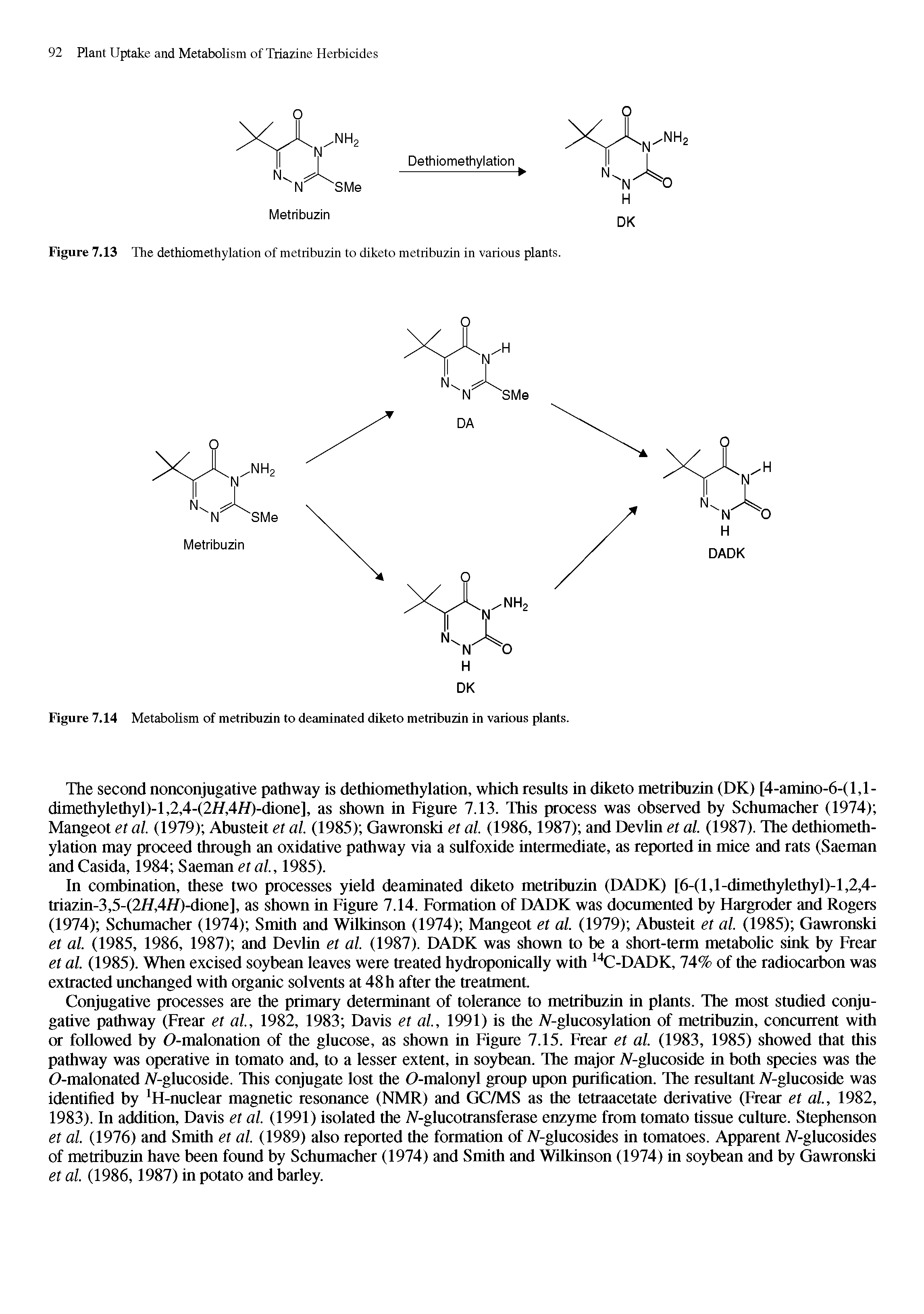 Figure 7.14 Metabolism of metribuzin to deaminated diketo metribuzin in various plants.