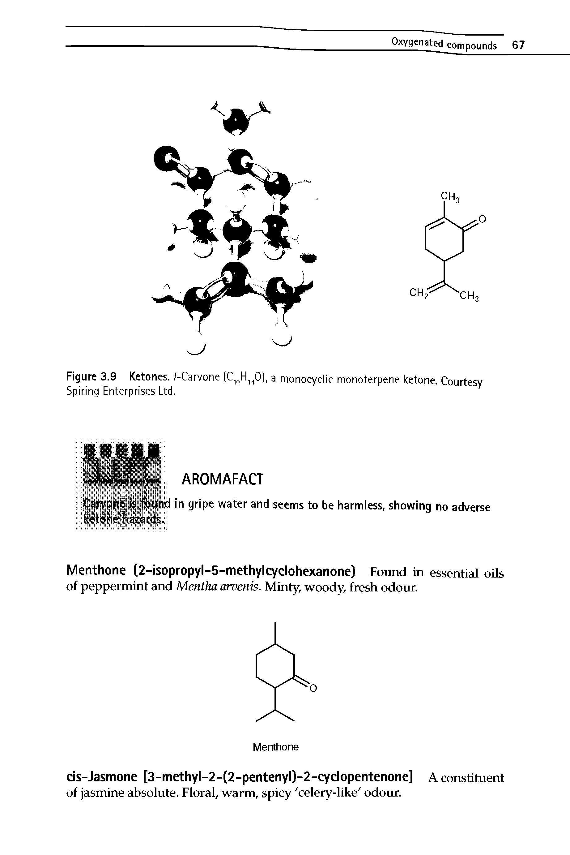 Figure 3.9 Ketones. /-Carvone (C10H140), a monocyclic monoterpene ketone. Courtesy Spiring Enterprises Ltd.