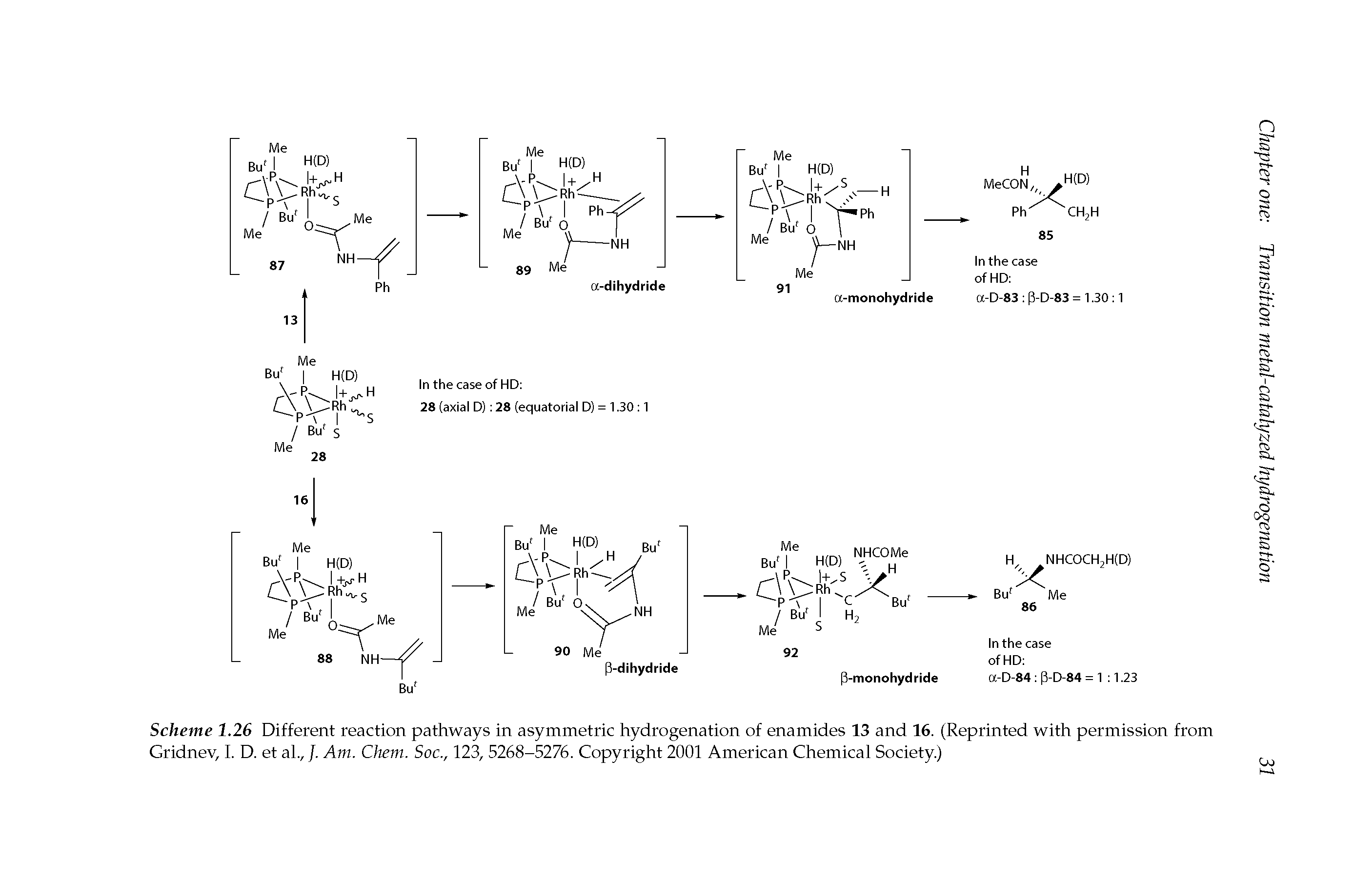 Scheme 1.26 Different reaction pathways in asymmetric hydrogenation of enamides 13 and 16. (Reprinted with permission from Gridnev, I. D. et al.,/. Am. Chem. Soc., 123, 5268-5276. Copyright 2001 American Chemical Society.)...