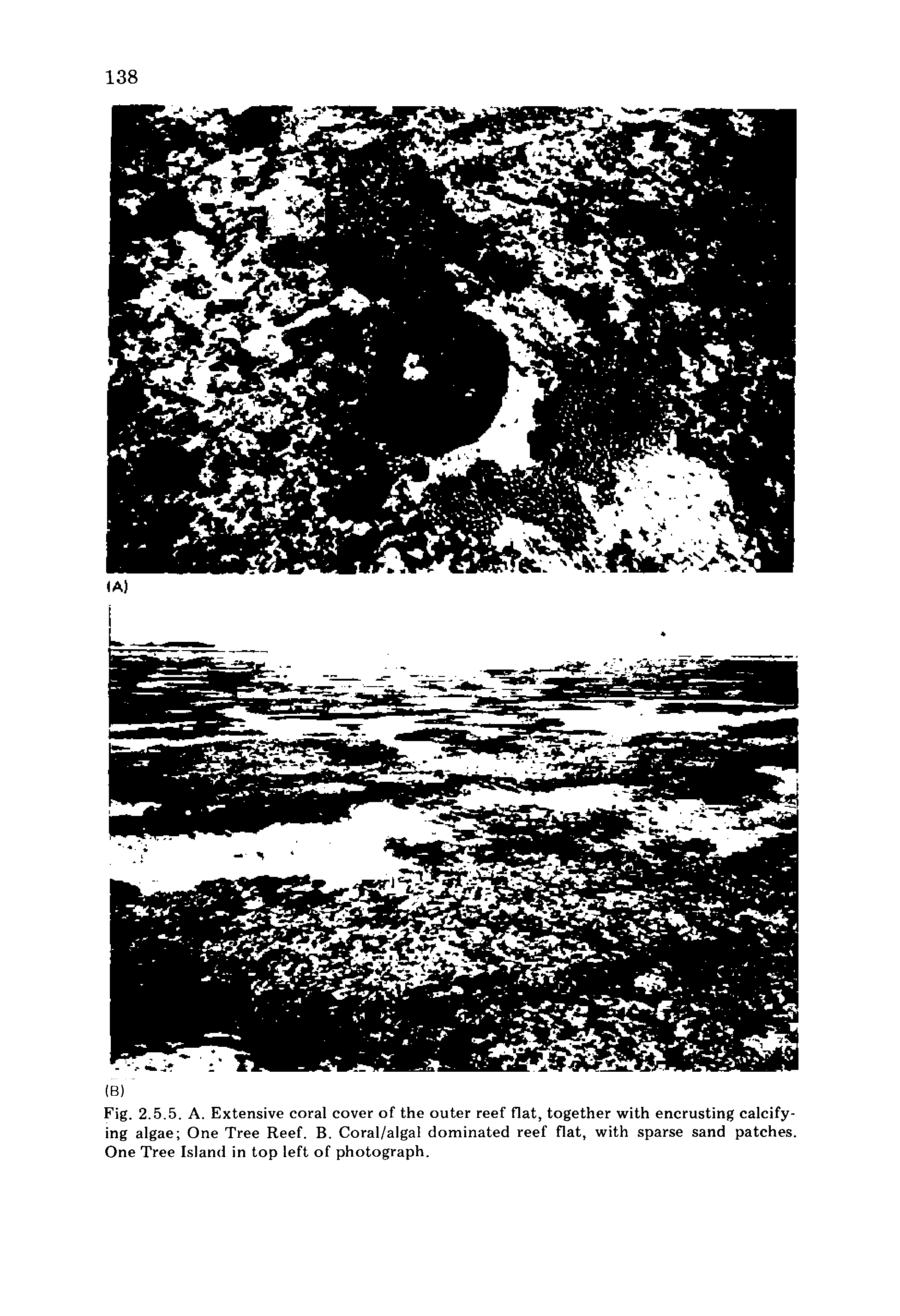 Fig. 2.5.5. A. Extensive coral cover of the outer reef flat, together with encrusting calcifying algae One Tree Reef. B. Coral/algal dominated reef flat, with sparse sand patches. One Tree Island in top left of photograph.