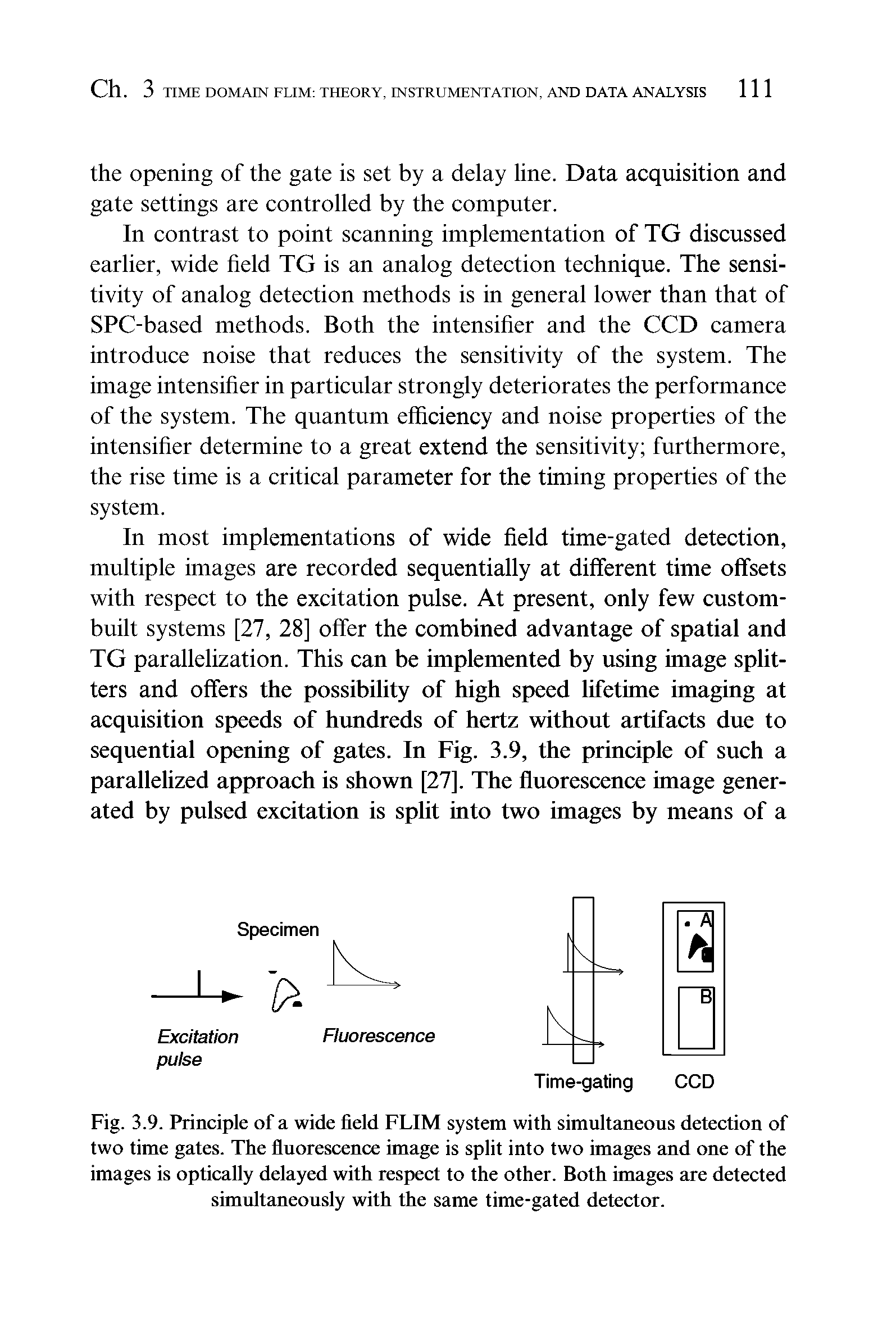 Fig. 3.9. Principle of a wide field FLIM system with simultaneous detection of two time gates. The fluorescence image is split into two images and one of the images is optically delayed with respect to the other. Both images are detected simultaneously with the same time-gated detector.