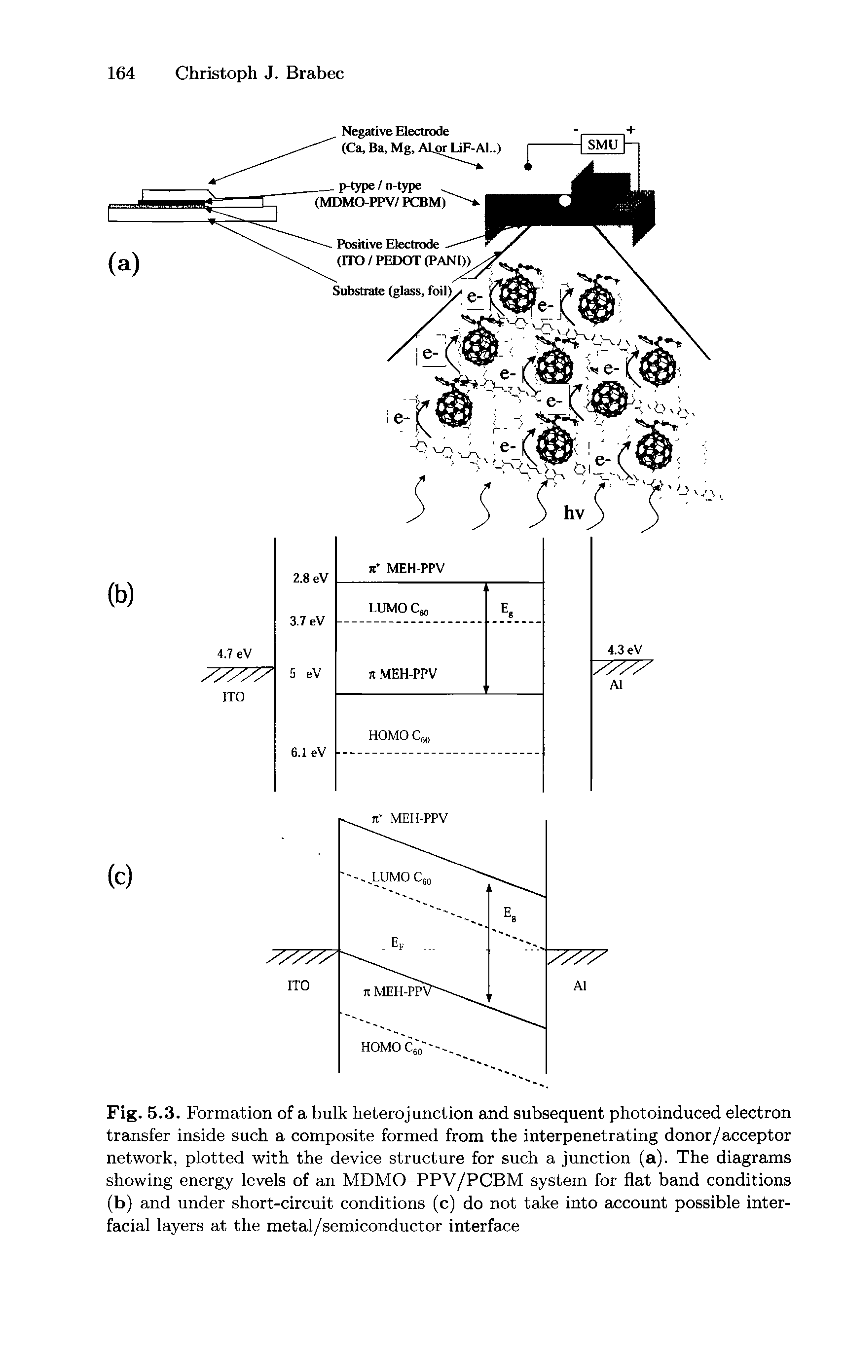 Fig. 5.3. Formation of a bulk heterojunction and subsequent photoinduced electron transfer inside such a composite formed from the interpenetrating donor/acceptor network, plotted with the device structure for such a junction (a). The diagrams showing energy levels of an MDMO-PPV/PCBM system for flat band conditions (b) and under short-circuit conditions (c) do not take into account possible interfacial layers at the metal/semiconductor interface...