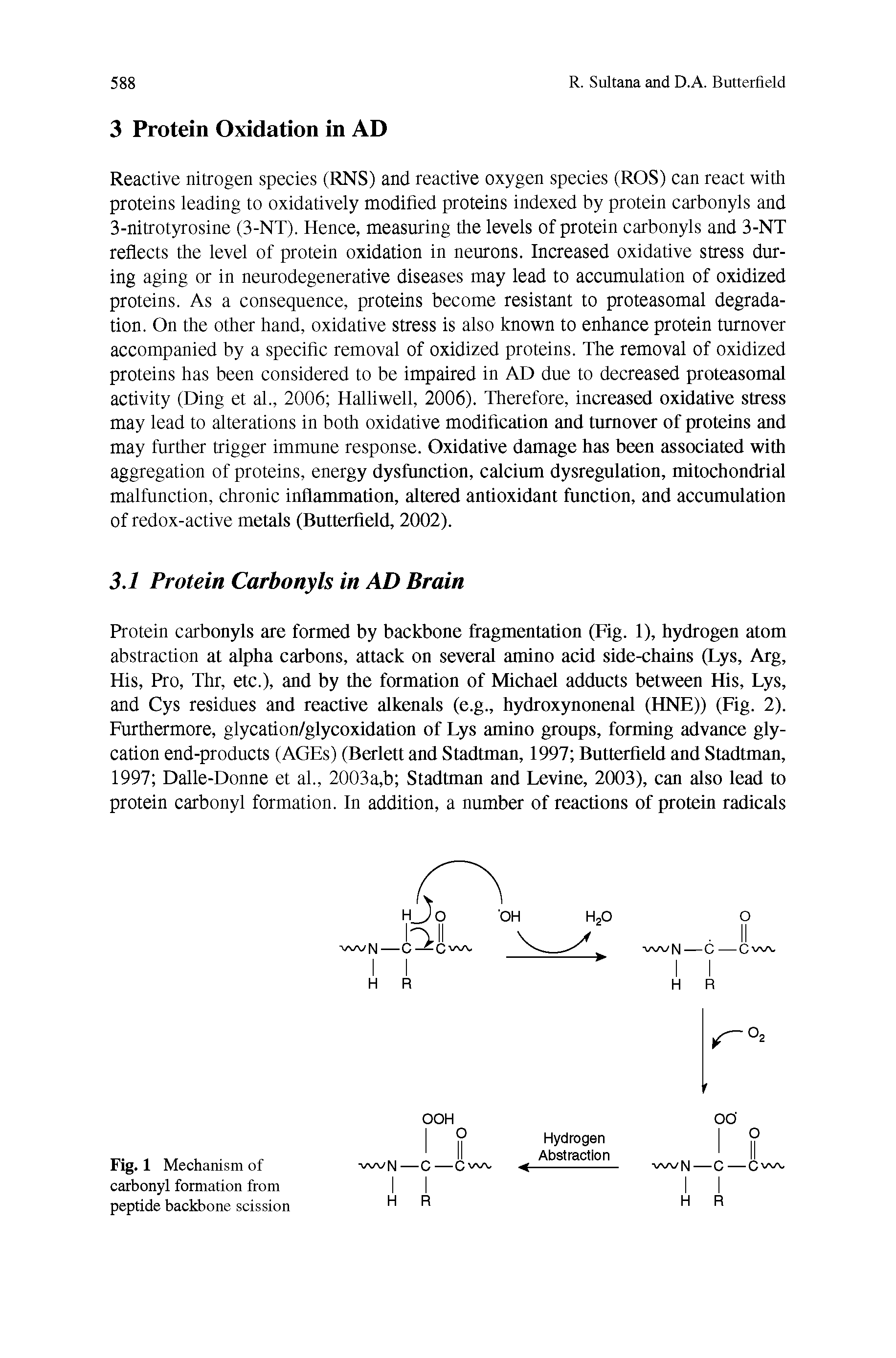 Fig. 1 Mechanism of carbonyl formation from peptide backbone scission...