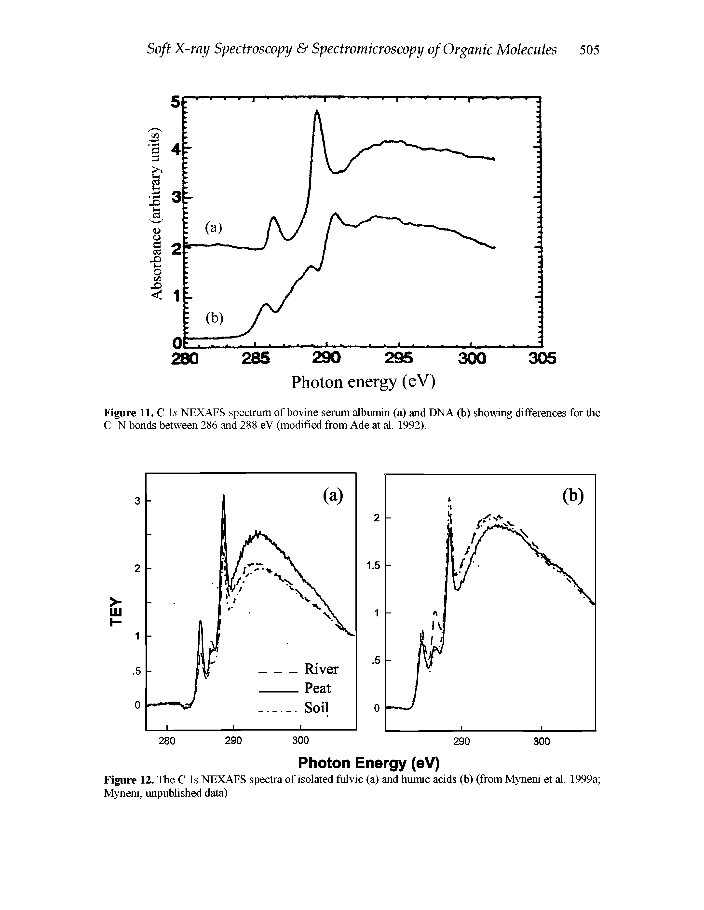 Figure 11. C Is NEXAFS spectrum of bovine serum albumin (a) and DNA (b) showing differences for the C=N bonds between 286 and 288 eV (modified from Ade at al. 1992).