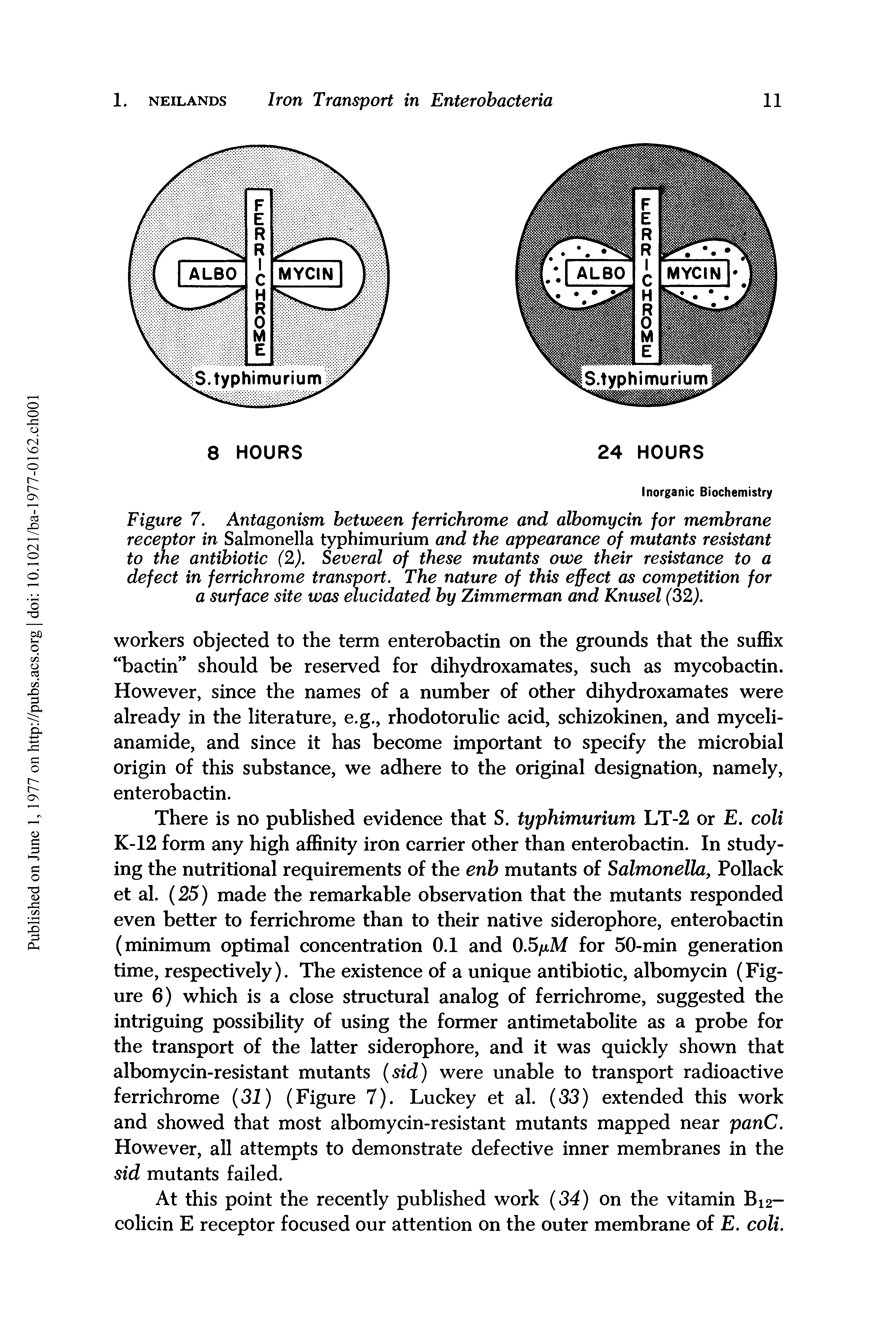 Figure 7. Antagonism between ferrichrome and albomycin for membrane receptor in Salmonella typhimurium and the appearance of mutants resistant to the antibiotic (2). Several of these mutants owe their resistance to a defect in ferrichrome transport. The nature of this effect as competition for a surface site was elucidated by Zimmerman and Knusel (32).