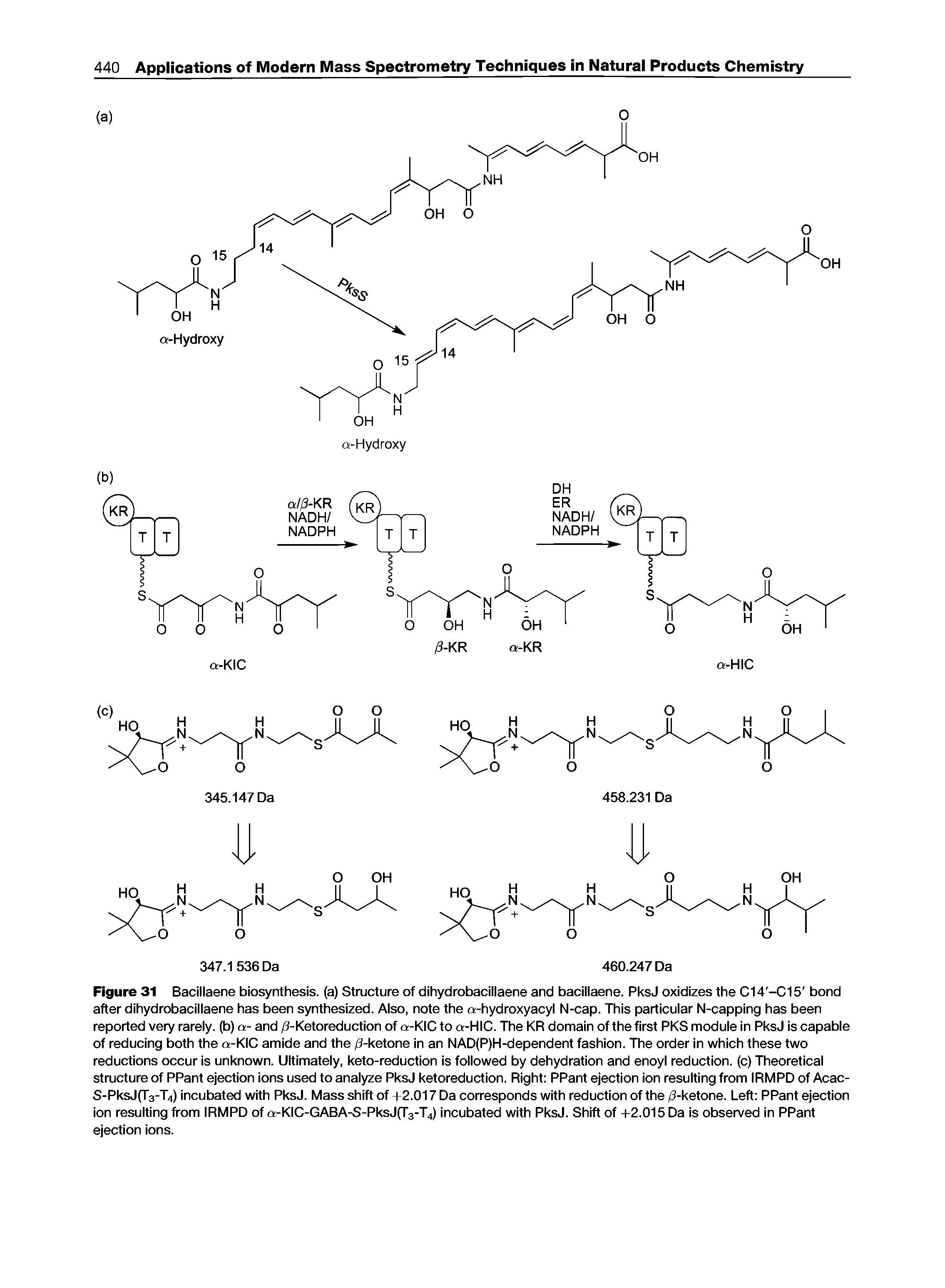 Figure 31 Bacillaene biosynthesis, (a) Structure of dihydrobacillaene and bacillaene. PksJ oxidizes the C14 -C15 bond after dihydrobacillaene has been synthesized. Also, note the a-hydroxyacyl N-cap. This particular N-capping has been reported very rarely. (b)a- and /3-Ketoreduction of a-KICto a-HIC. The KR domain of the first PKS module in PksJ is capable of reducing both the a-KIC amide and the /3-ketone in an NAD(P)H-dependent fashion. The order in which these two reductions occur is unknown. Ultimately, keto-reduction is followed by dehydration and enoyl reduction, (c) Theoretical structure of PPant ejection ions used to analyze PksJ ketoreduction. Right PPant ejection ion resulting from IRMPD of Acac-S-PksJ(T3-T4) incubated with PksJ. Mass shift of +2.017 Da corresponds with reduction of the /3-ketone. Left PPant ejection ion resulting from IRMPD of a-KIC-GABA-S-PksJ(T3-T4) incubated with PksJ. Shift of +2.015 Da is observed in PPant ejection ions.