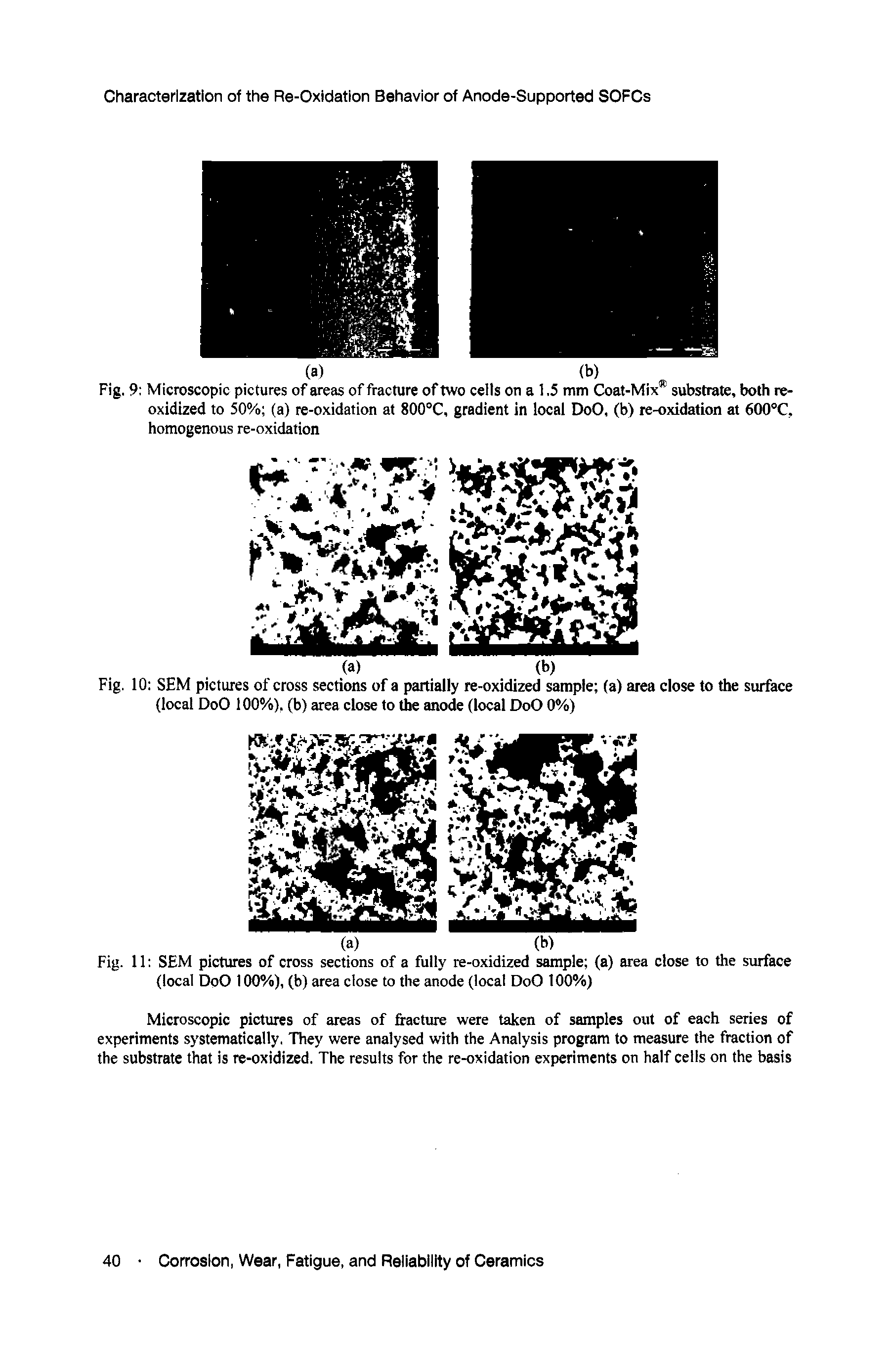 Fig. 10 SEM pictures of cross sections of a partially re-oxidized sample (a) area close to the surface (local DoO 100%), (b) area close to the anode (local DoO 0%)...