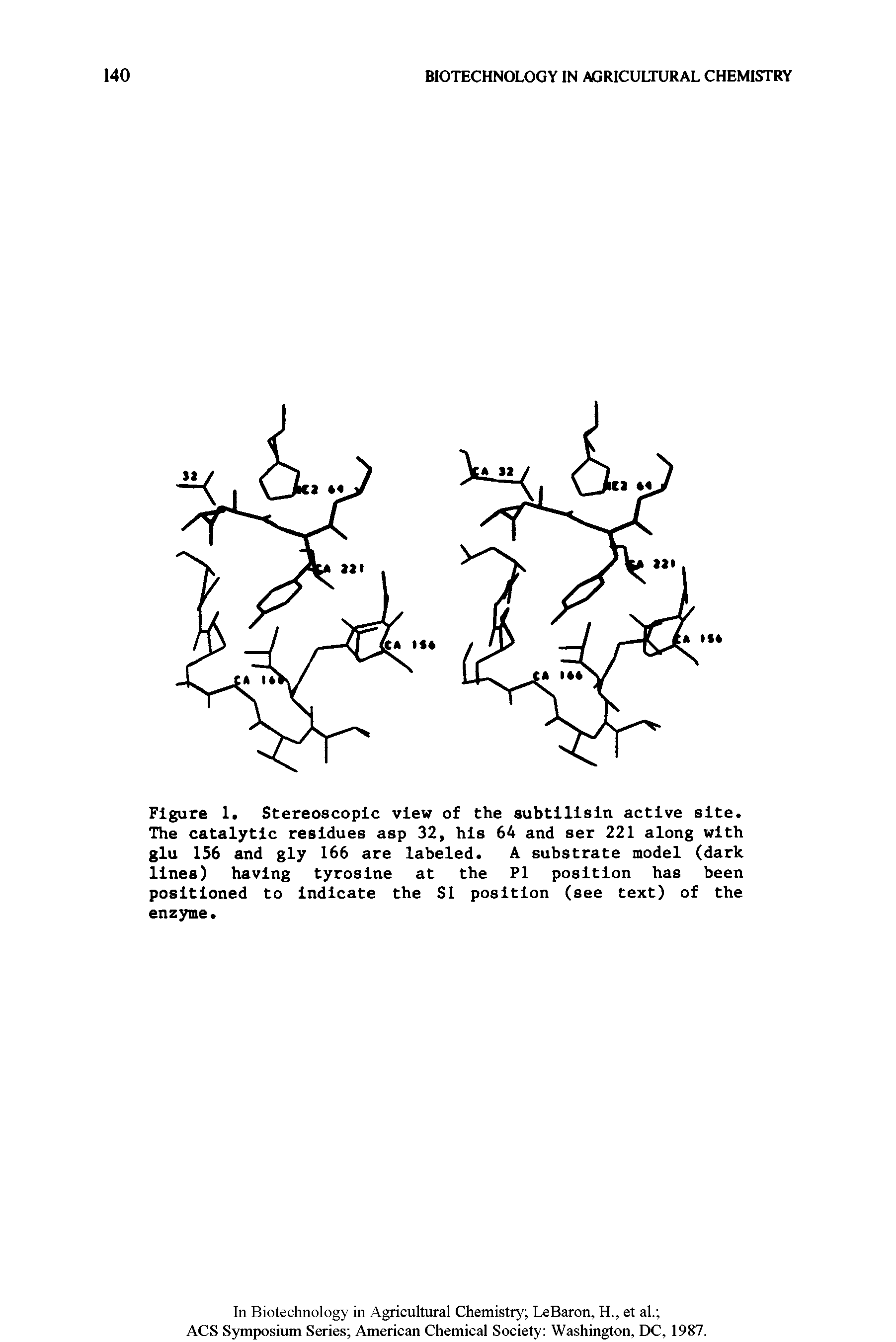 Figure 1. Stereoscopic view of the subtlllsln active site. The catalytic residues asp 32, his 64 and ser 221 along with glu 156 and gly 166 are labeled. A substrate model (dark lines) having tyrosine at the PI position has been positioned to Indicate the SI position (see text) of the enzyme.