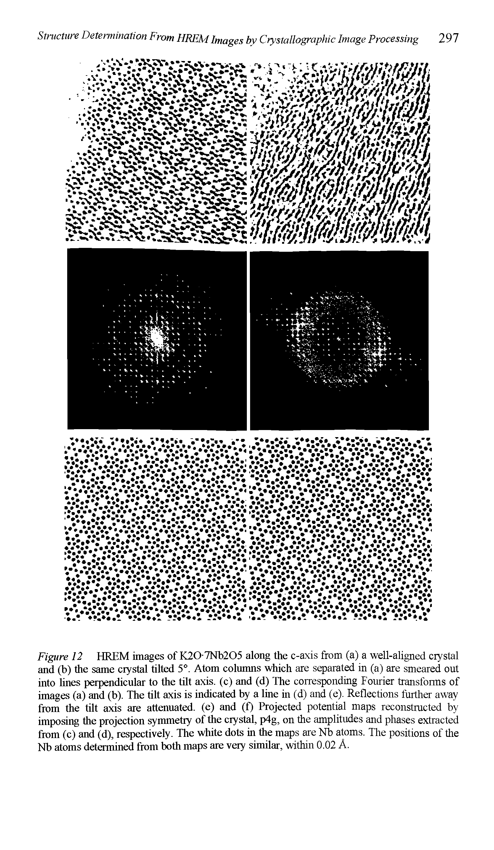 Figure 12 HREM images of K20-7Nb205 along the c-axis from (a) a well-aligned crystal and (b) the same crystal tilted 5°. Atom columns which are separated in (a) are smeared out into lines perpendicular to the tilt axis, (c) and (d) The corresponding Fourier transforms of images (a) and (b). The tilt axis is indicated by a line in (d) and (e). Reflections further away from the tilt axis are attenuated, (e) and (f) Projected potential maps reconstructed by imposing the projection symmetry of the crystal, p4g, on the amplitudes and phases extracted from (c) and (d), respectively. The white dots in the maps are Nb atoms. The positions of the Nb atoms determined from both maps are very similar, within 0.02 A.