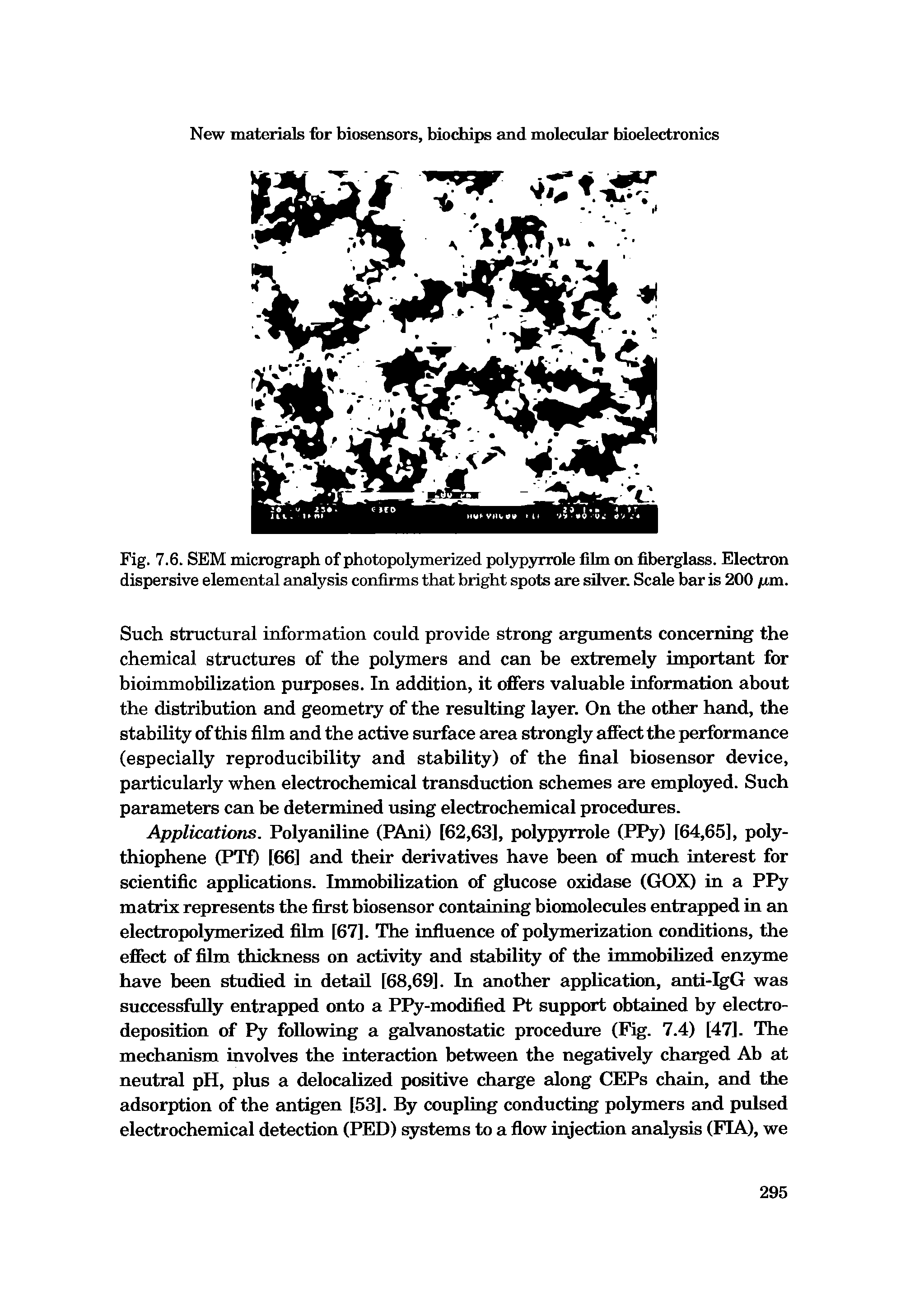 Fig. 7.6. SEM micrograph of photopolymerized polypyrrole film on fiberglass. Electron dispersive elemental analysis confirms that bright spots are silver. Scale bar is 200 fim.