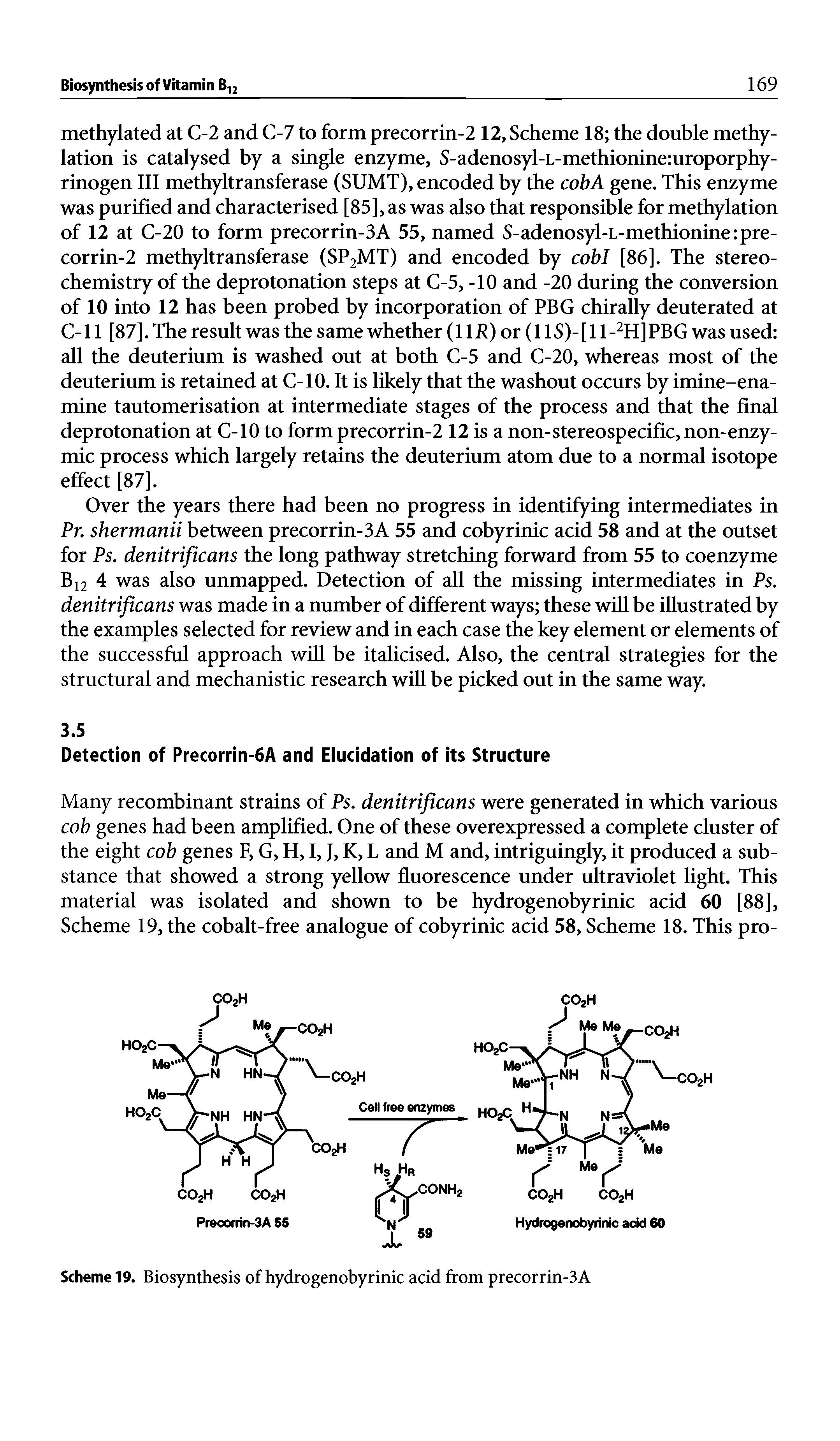 Scheme 19. Biosynthesis of hydrogenobyrinic acid from precorrin-3A...
