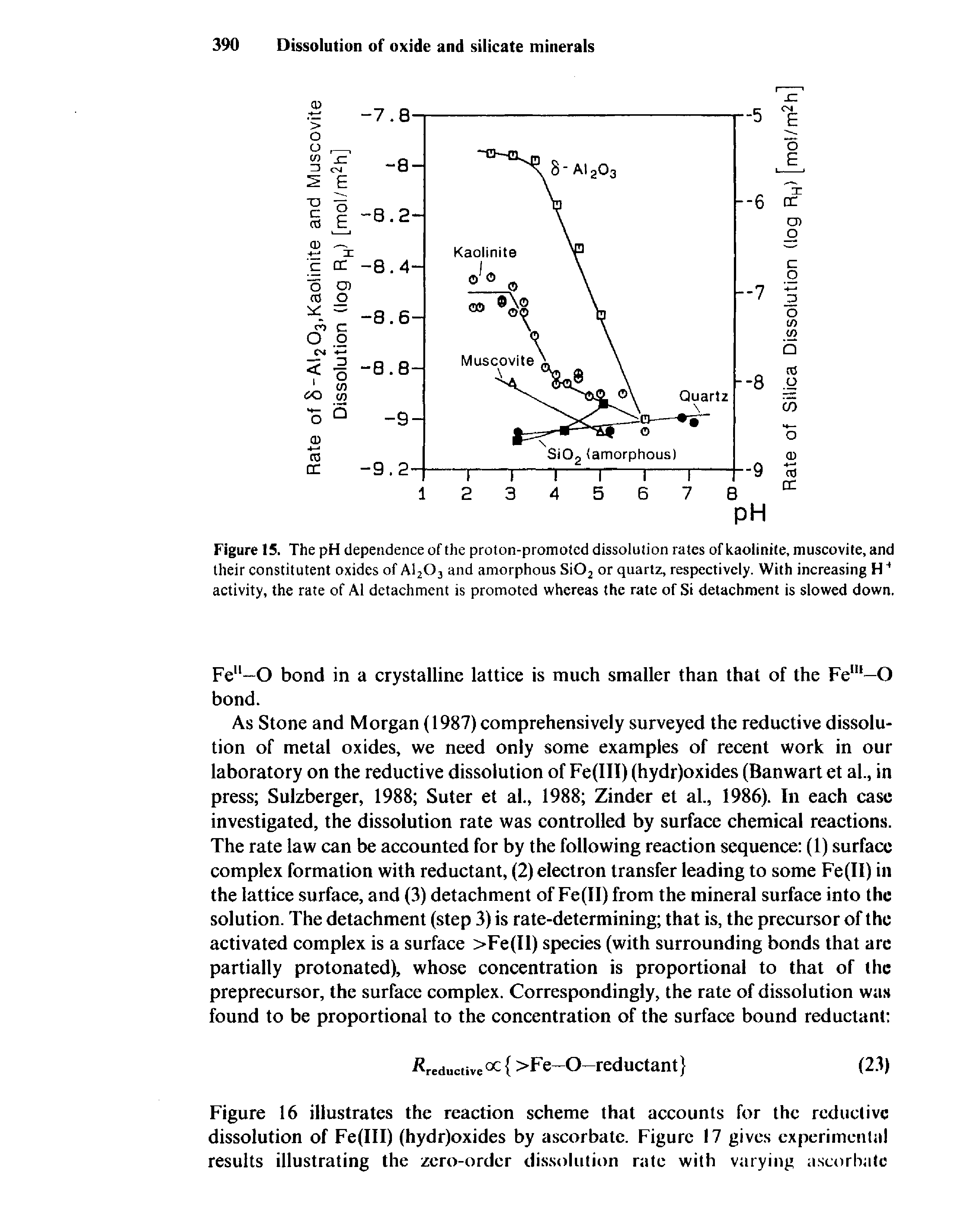 Figure 15. The pH dependence of the proton-promoted dissolution rates ofkaolinite, muscovite, and their constitutent oxides of A1203 and amorphous Si02 or quartz, respectively. With increasing H4 activity, the rate of A1 detachment is promoted whereas the rate of Si detachment is slowed down.