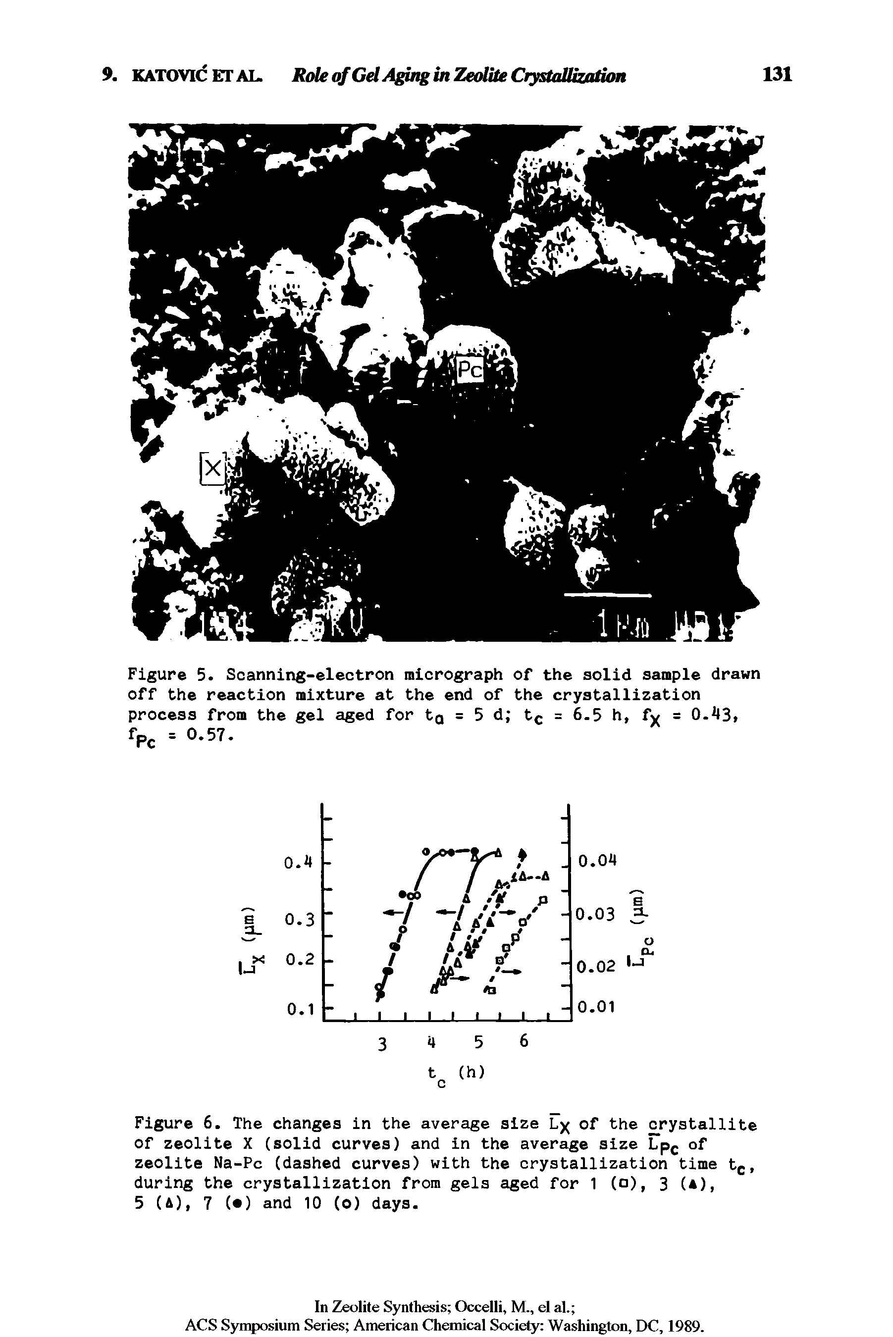 Figure 5. Scanning-electron micrograph of the solid sample drawn off the reaction mixture at the end of the crystallization process from the gel aged for tQ = 5 d tc = 6.5 h, fy = O- B,...