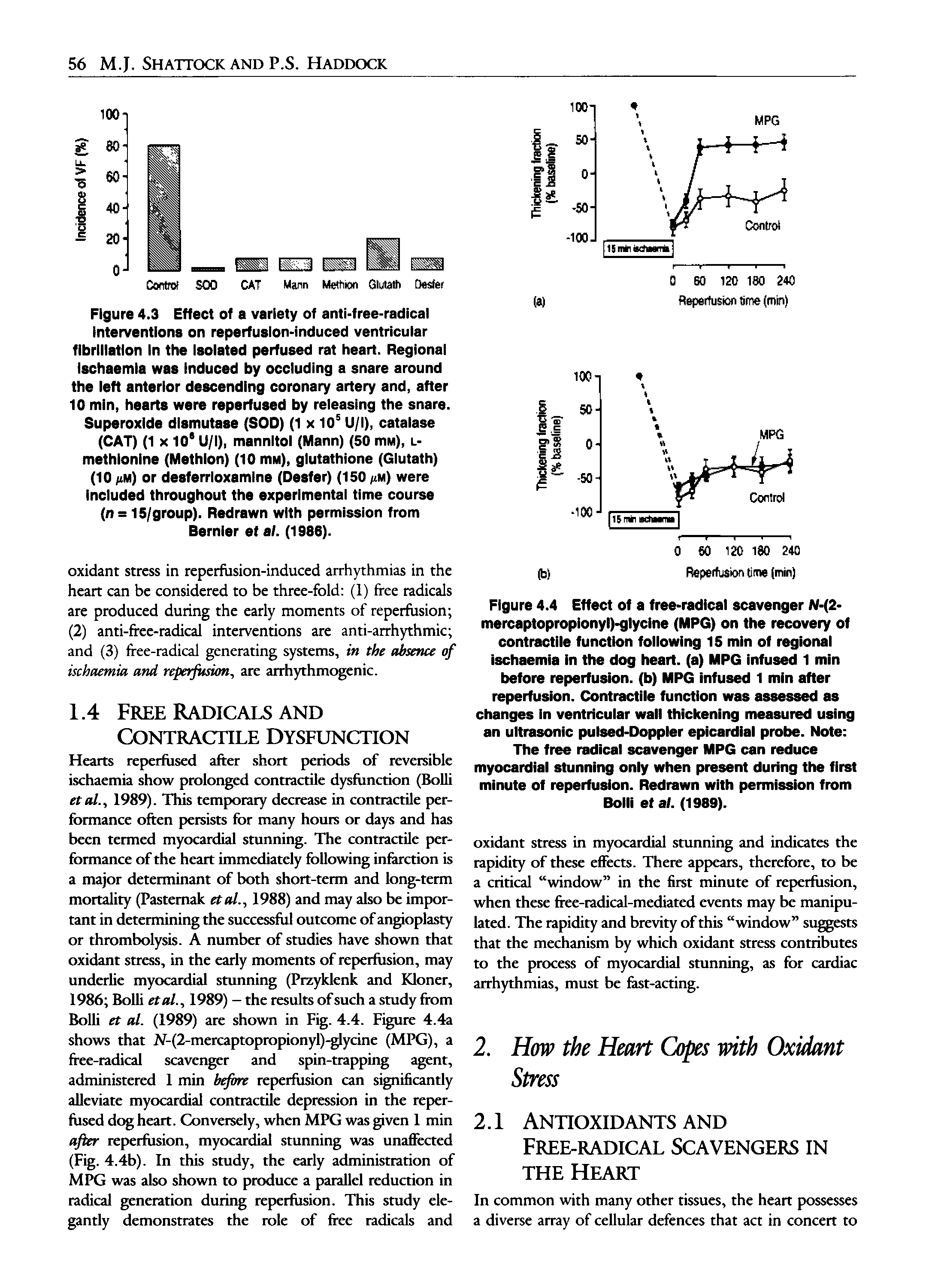 Figure 4.3 Effect of a variety of anti-free-radical interventions on reperfuslon-induced ventricular fibrillation In the Isolated perfused rat heart. Regional Ischaemia was induced by occluding a snare around the left anterior descending coronary artery and, after 10 min, hearts were reperfused by releasing the snare. Superoxide dismutase (SOD) (1 x 10° U/l), catalase (CAT) (1 X 10 U/l), mannitol (Mann) (50 mM), l-methlonlne (Methlon) (10 mM), glutathione (Glutath) (10 iiM) or desferrioxamlne (Deafer) (150 iim) were included throughout the experimental time course (n = 15/group). Redrawn with permission from Bernier et af. (1986).