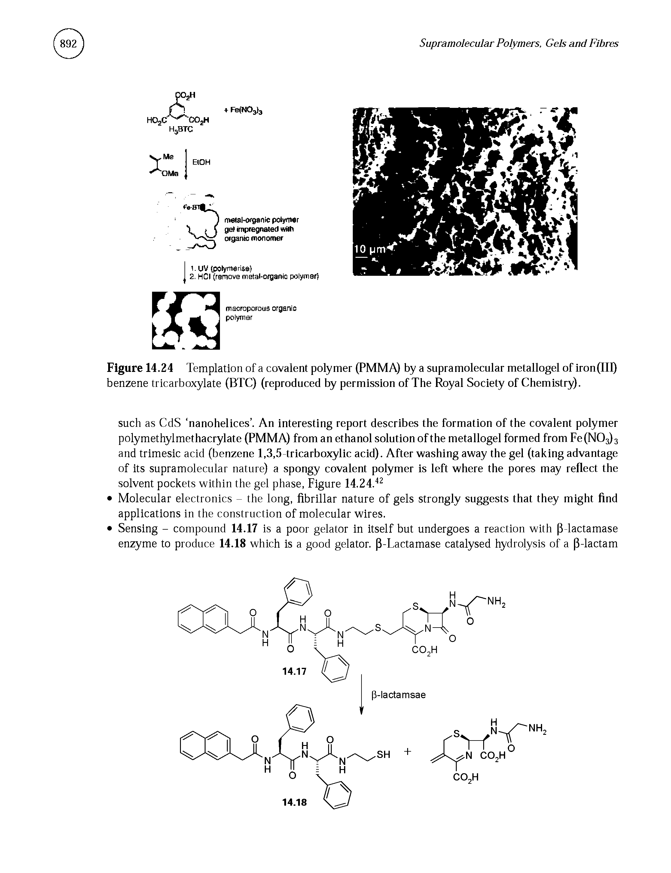 Figure 14.24 Templation of a covalent polymer (PMMA) by a supramolecular metallogel of iron(III) benzene tricarboxylate (BTC) (reproduced by permission of The Royal Society of Chemistry).