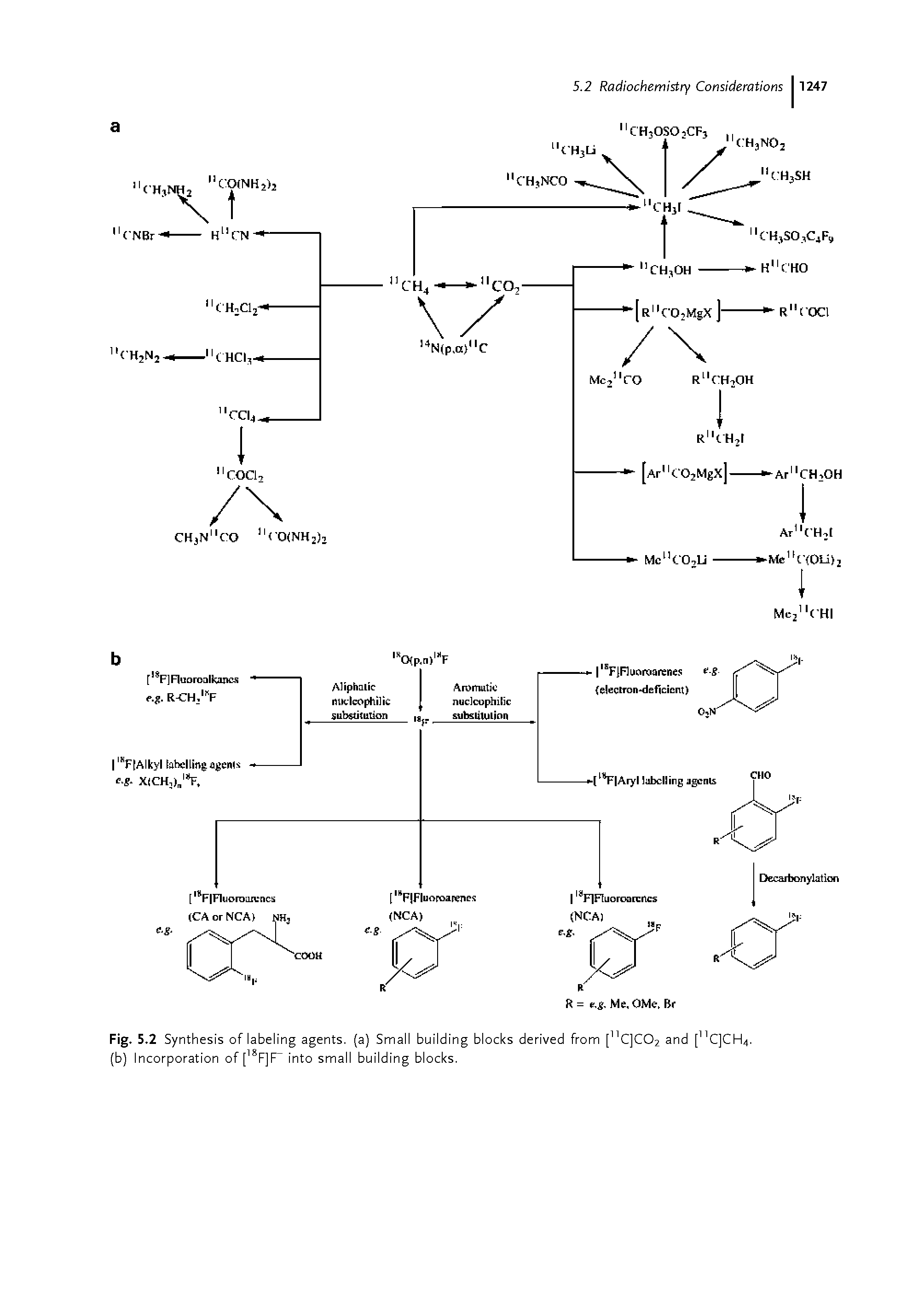 Fig. 5.2 Synthesis of labeling agents, (a) Small building blocks derived from ["C]C02 and [ C]CH4. (b) Incorporation of [ F]F into small building blocks.